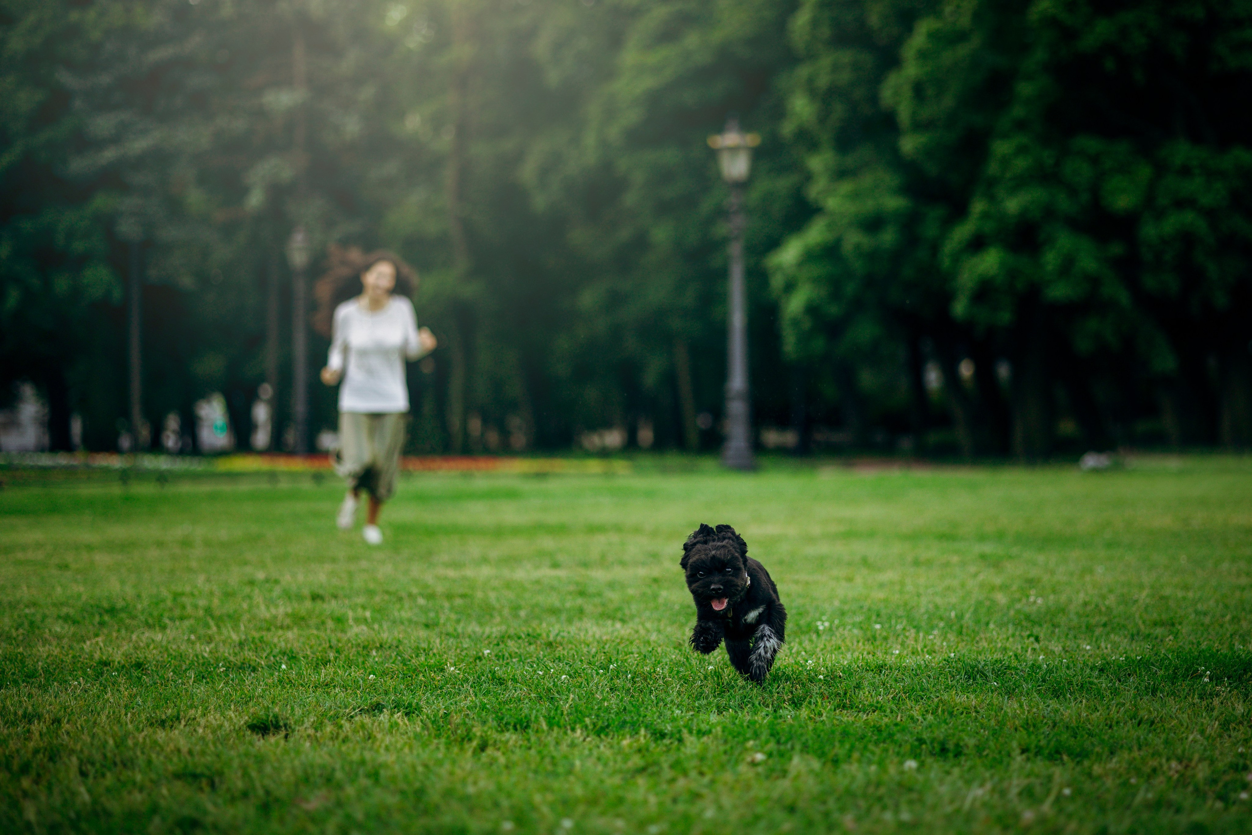 Даша и Борис. Фотограф — Анималист | Санкт-Петербург