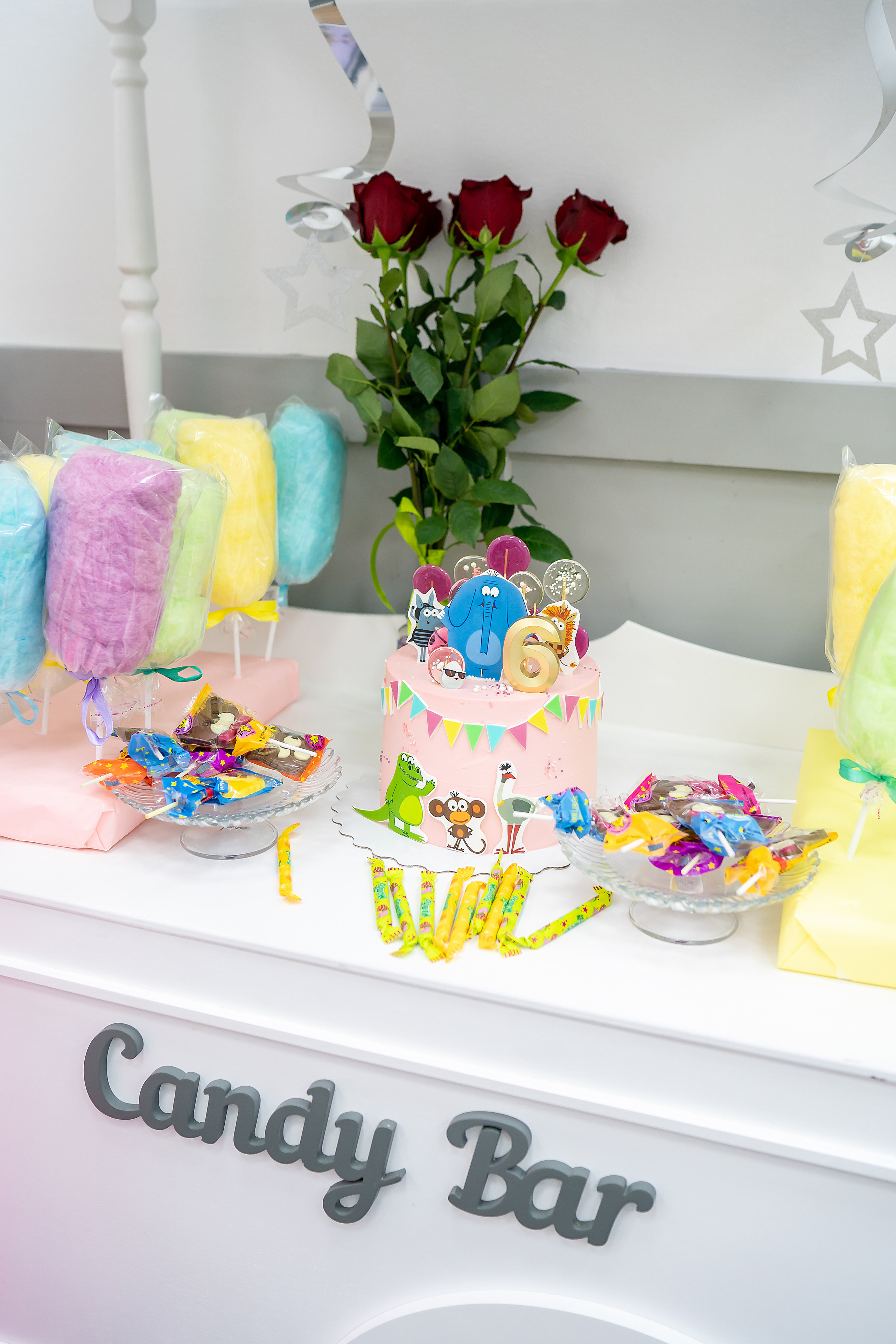 День Рождения Полины, 6 лет. Фотограф на Крещение и Венчание в Красноярске Рамазанова Юлия