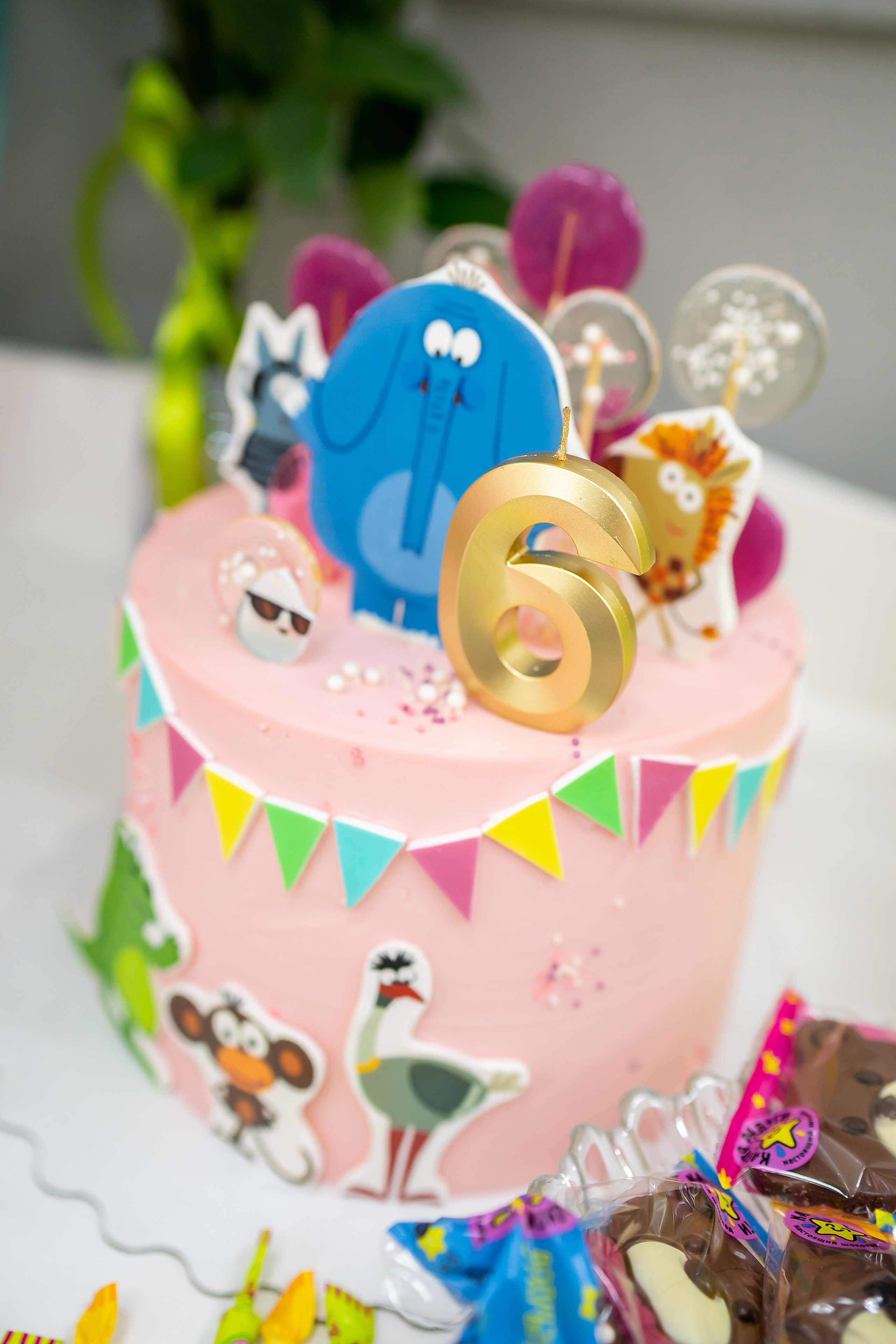 День Рождения Полины, 6 лет. Фотограф на Крещение и Венчание в Красноярске Рамазанова Юлия