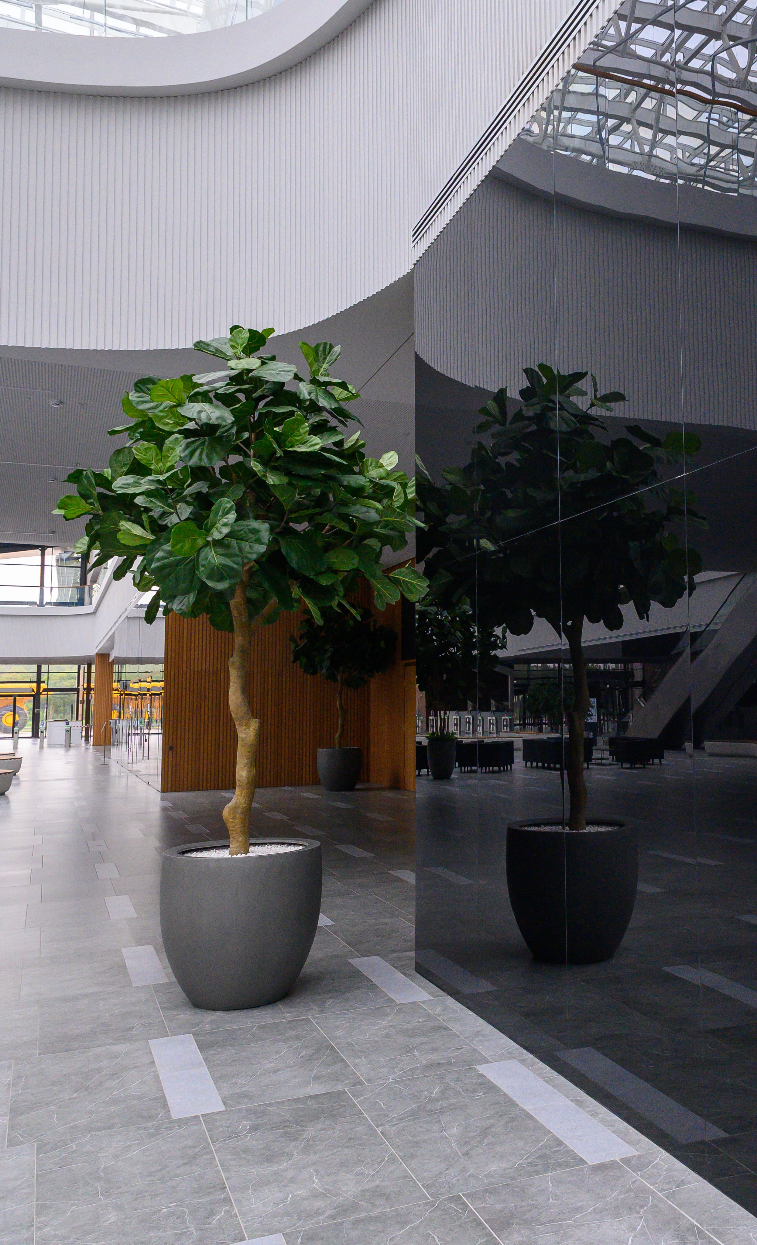 BelExpo. Фотоуслуги, услуги фотографа, фотографирование важных событий