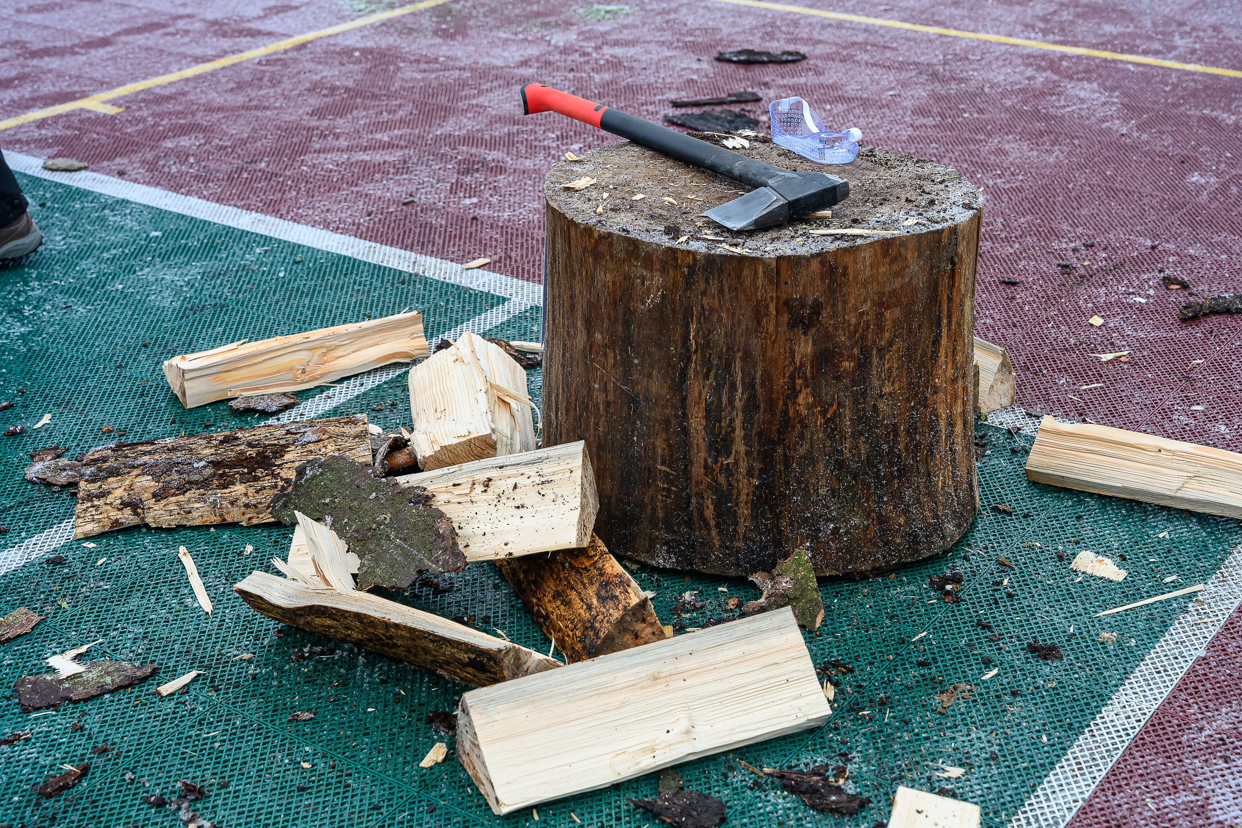 Зимняя спартакиада УД. Фотоуслуги, услуги фотографа, фотографирование важных событий