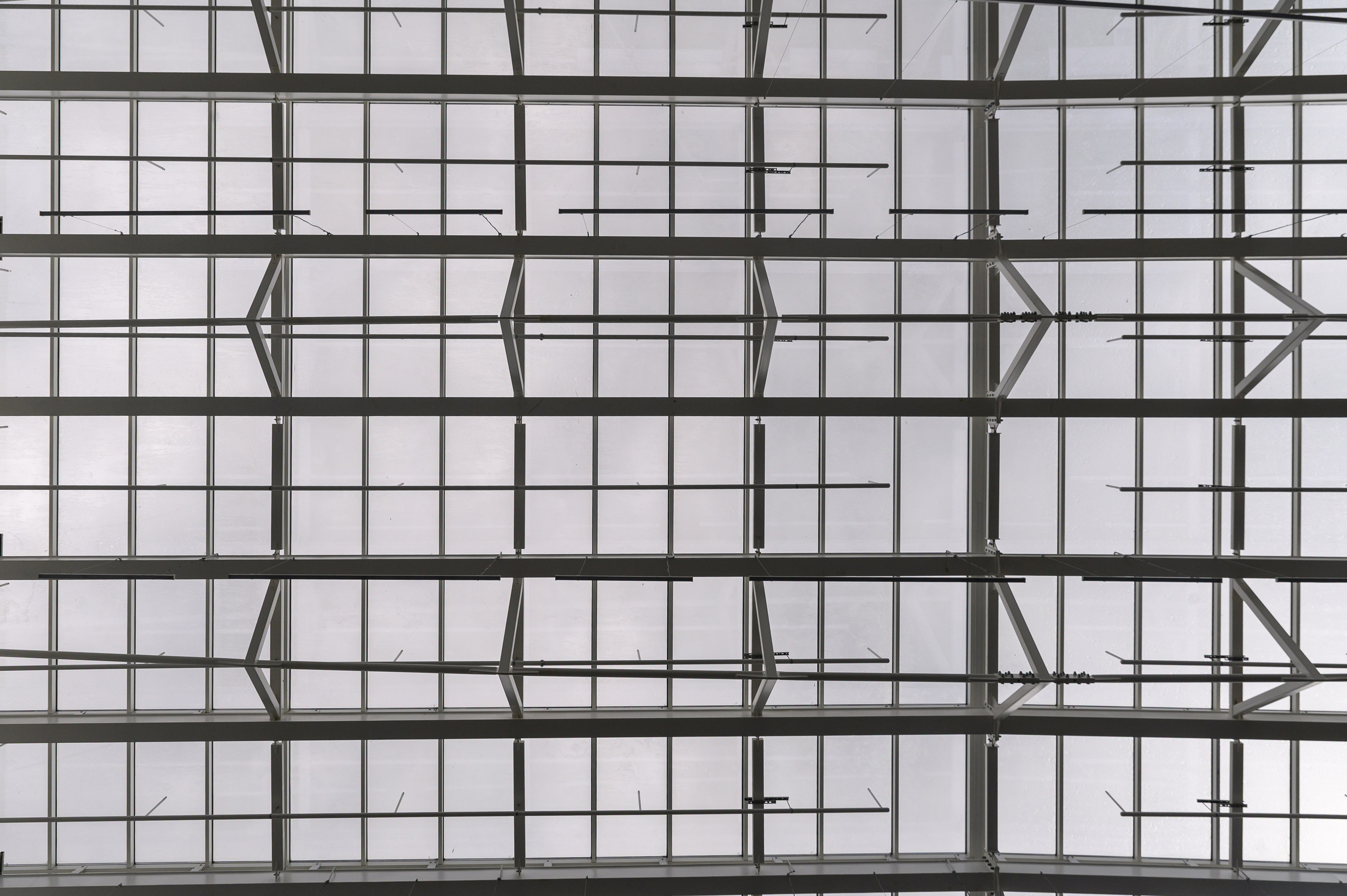 BelExpo. Фотоуслуги, услуги фотографа, фотографирование важных событий