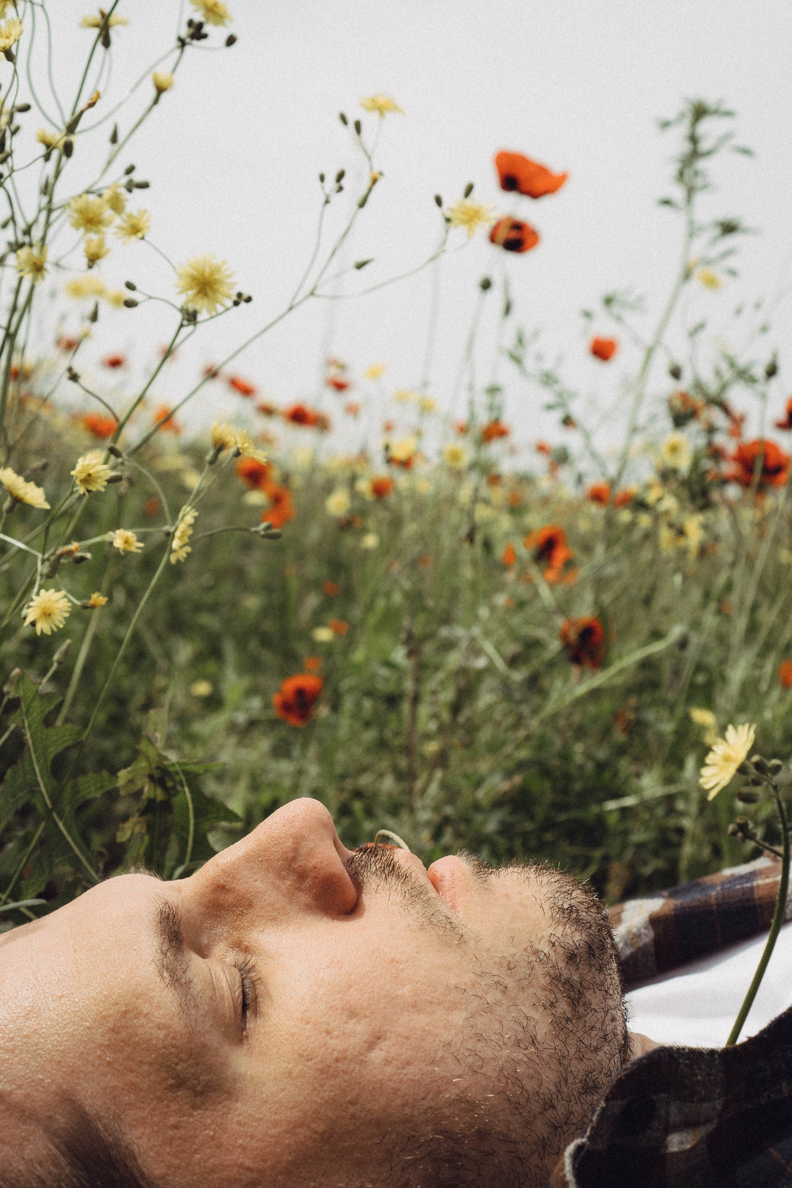 Маки. Профессиональный фотограф, Санкт-Петербург — Виктория Богомолова