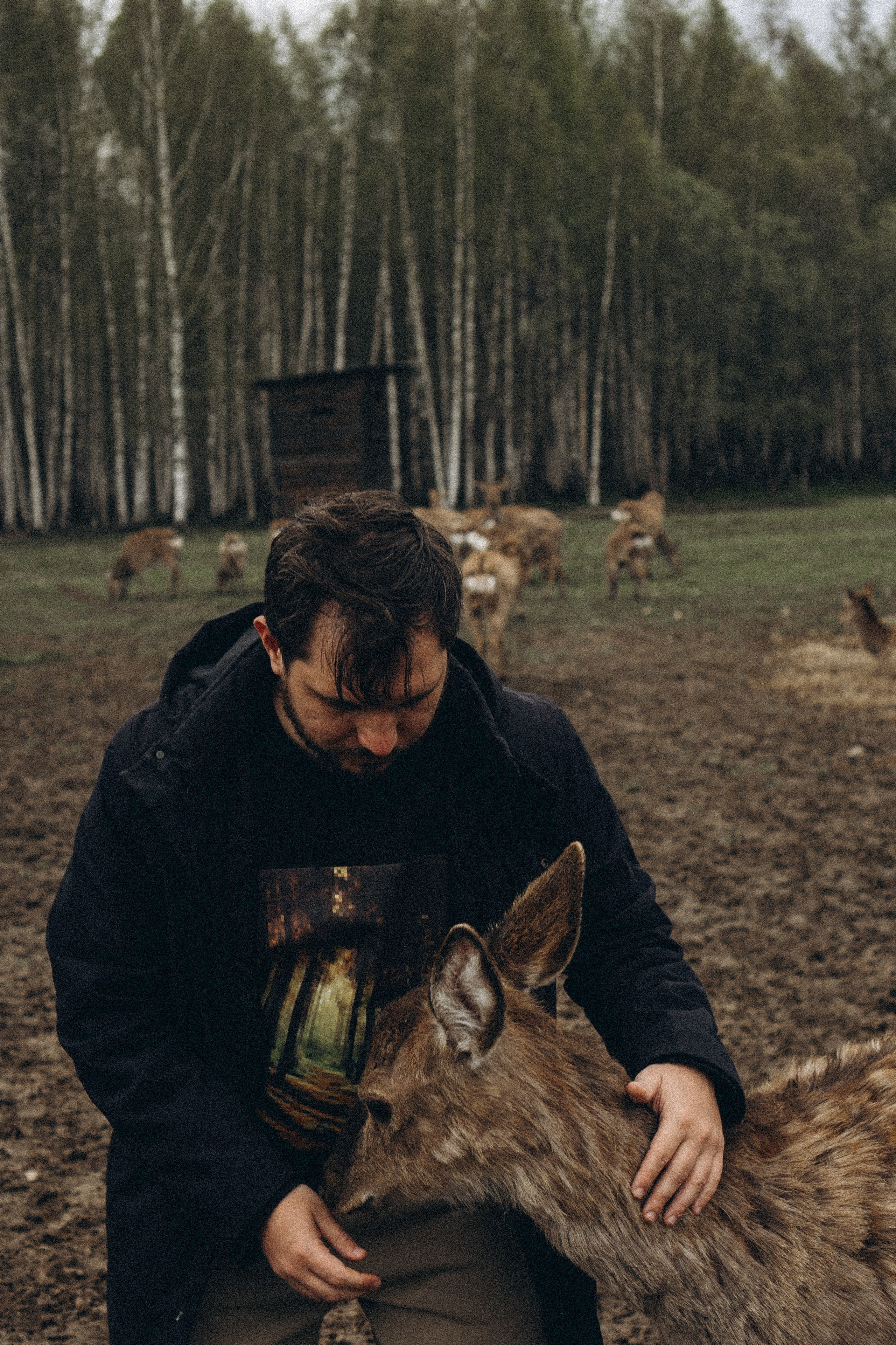 ОЛЕНЬЯ ФЕРМА В ТВЕРИ. Профессиональный фотограф, Санкт-Петербург — Виктория Богомолова