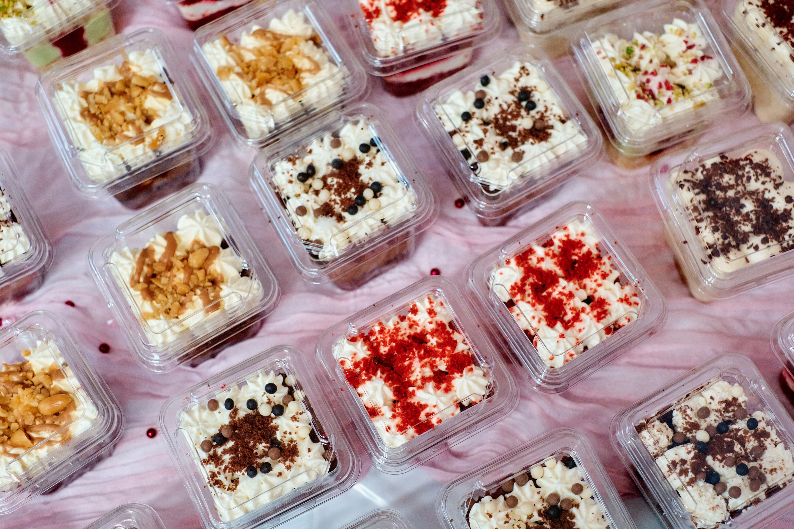 Открытие туристической компании «Розовый слон». Фотограф Таганрог Анна Трайжон