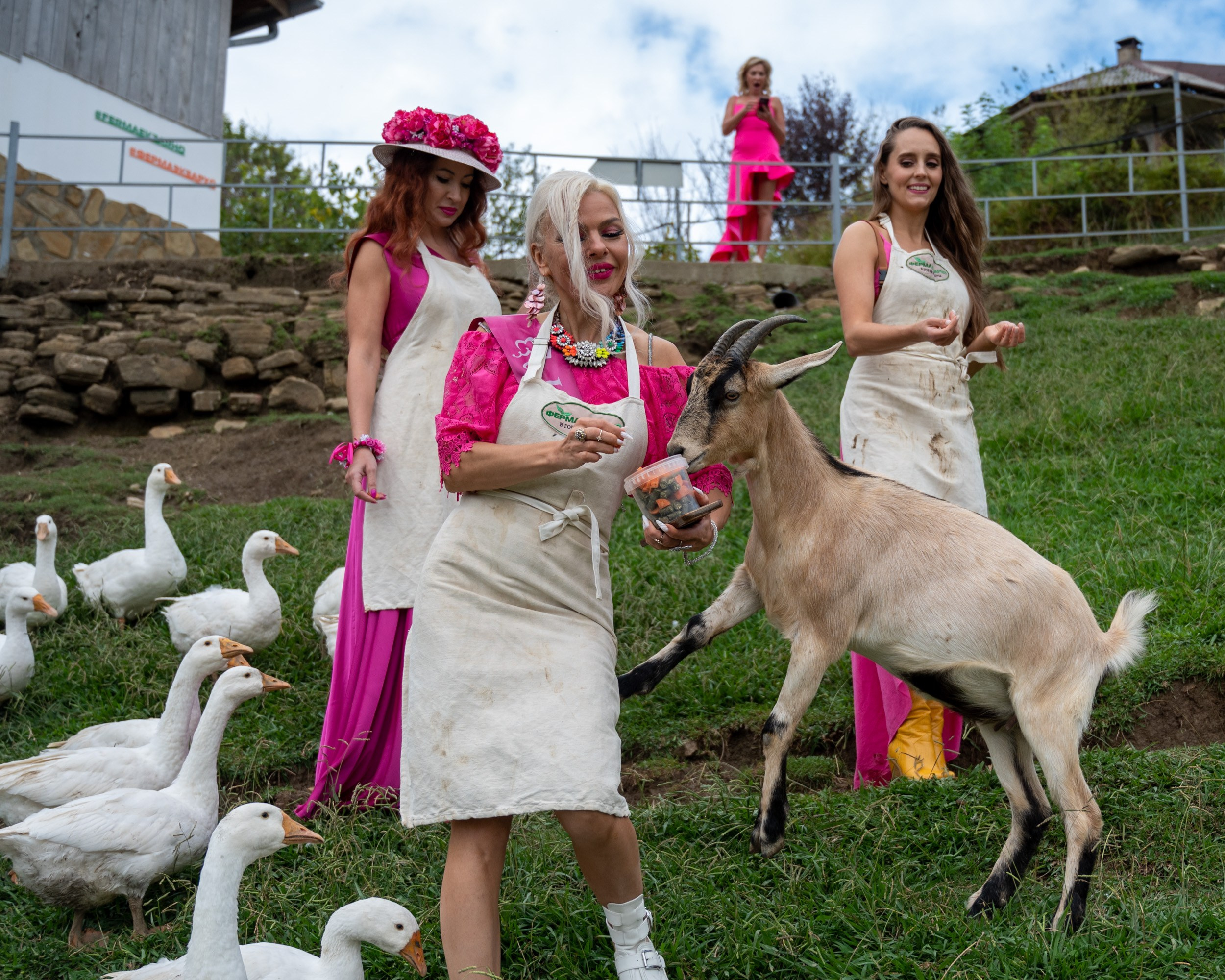 Ферма «ЭКЗАРХО» 03.10.2024 г. Фотографирую счастливых людей в Сочи