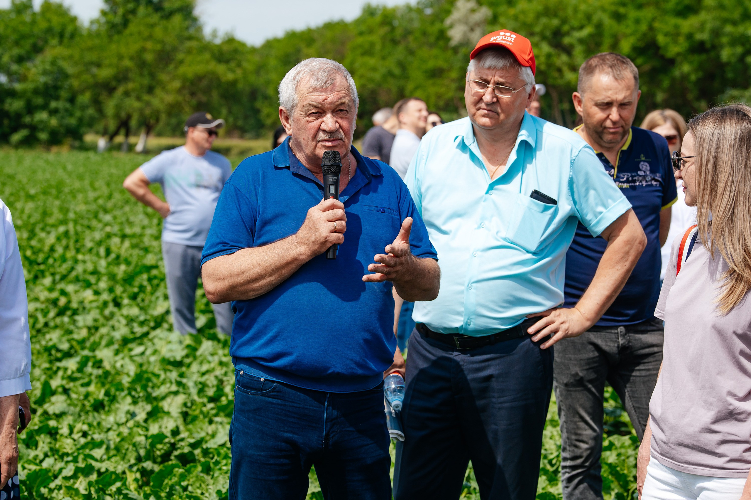 День поля. Главная