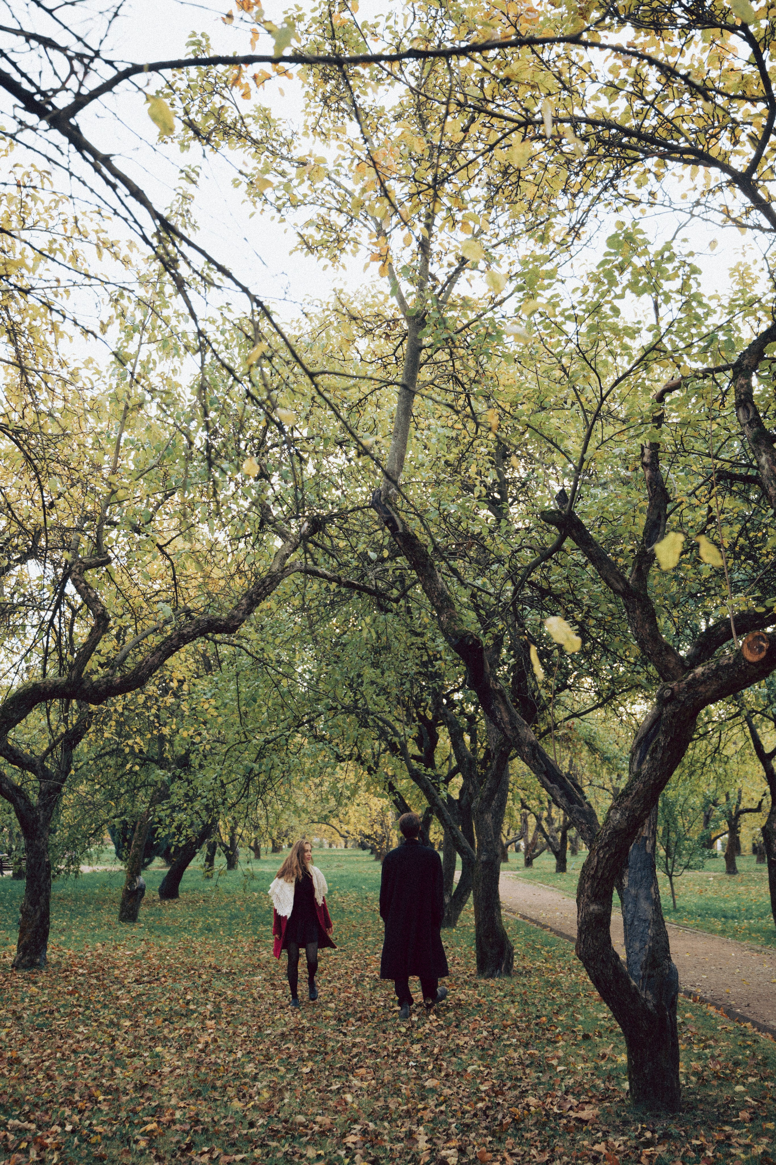 Галки, ветки и любовь. Фотограф Москва Селюкова Юлия