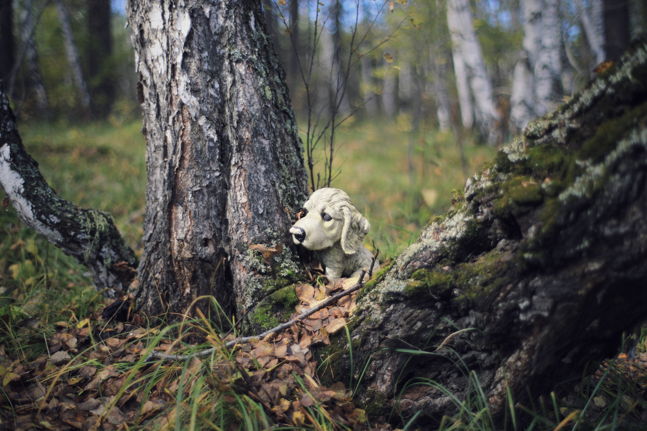 2020. Тащилин Сергей. Фотографии. Жизнь. Хобби