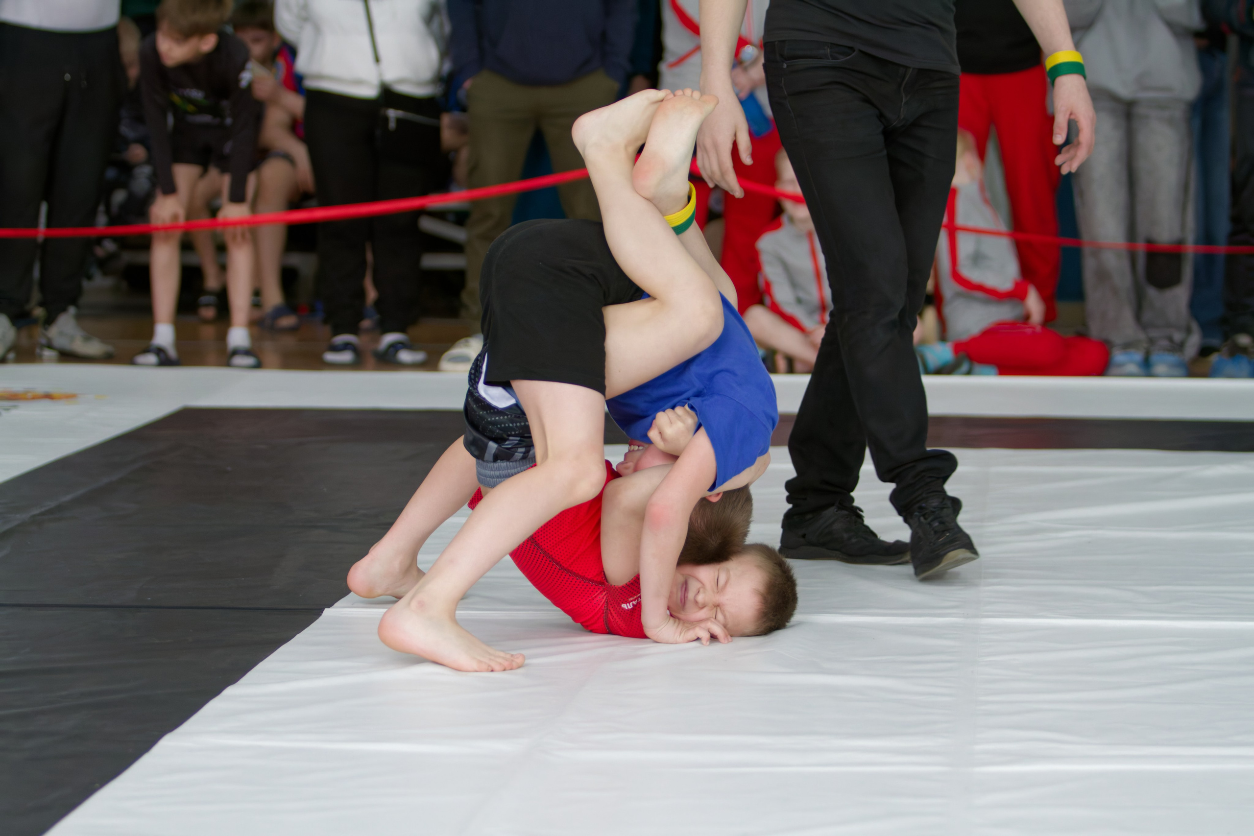 Борьба. Джиу-джитсу 26.04.2025. Репортажный и спортивный фотограф в г. Пермь Зильберг Павел