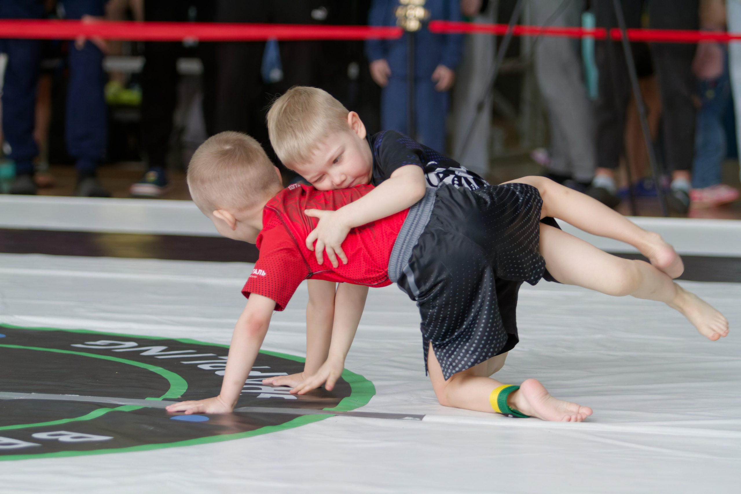 Борьба. Джиу-джитсу 26.04.2025. Репортажный и спортивный фотограф в г. Пермь Зильберг Павел