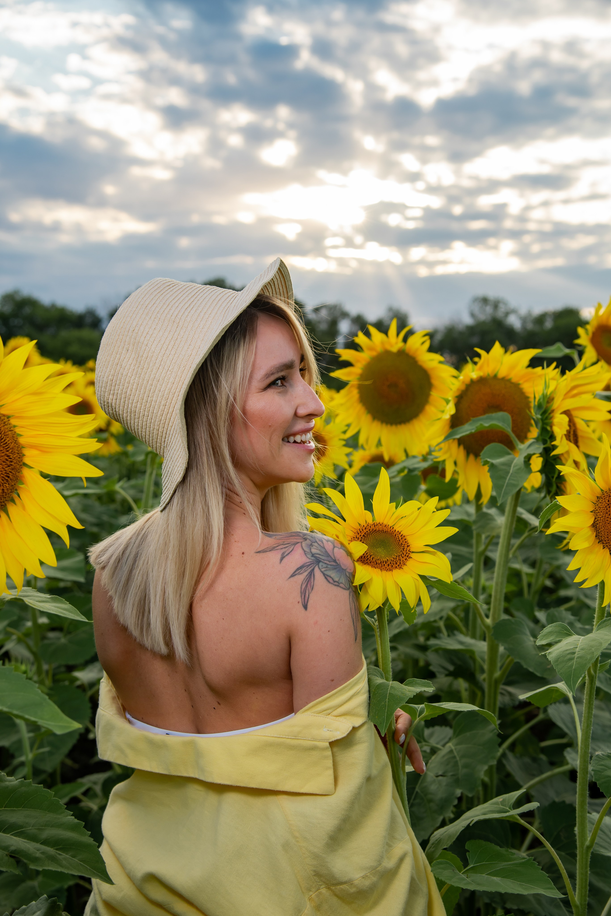 Подсолнух. Фотограф Галина Нестерова