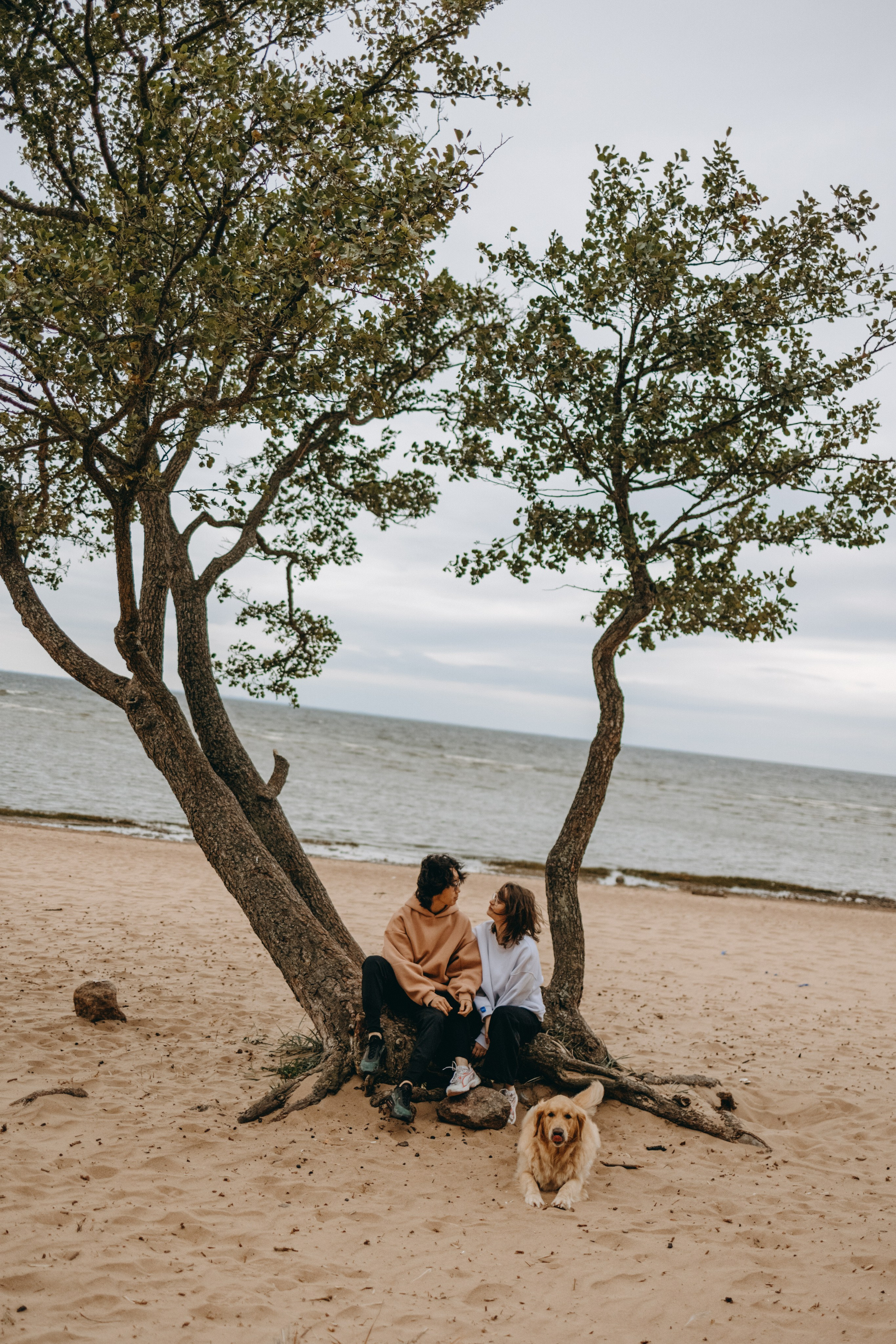 Фоси и его семьи. Фотограф — Анималист | Санкт-Петербург