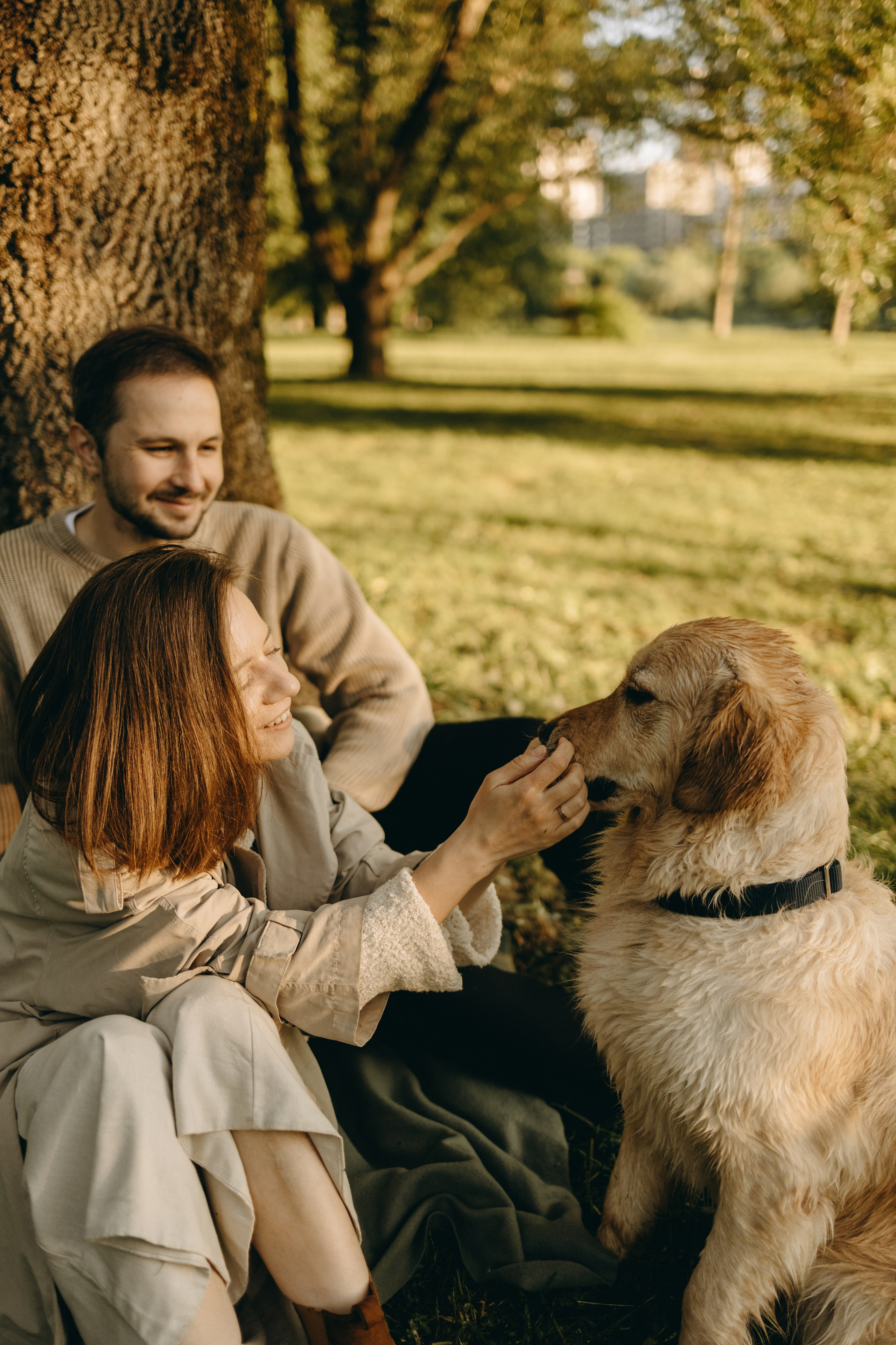 Пенни и ребята. Фотограф — Анималист | Санкт-Петербург