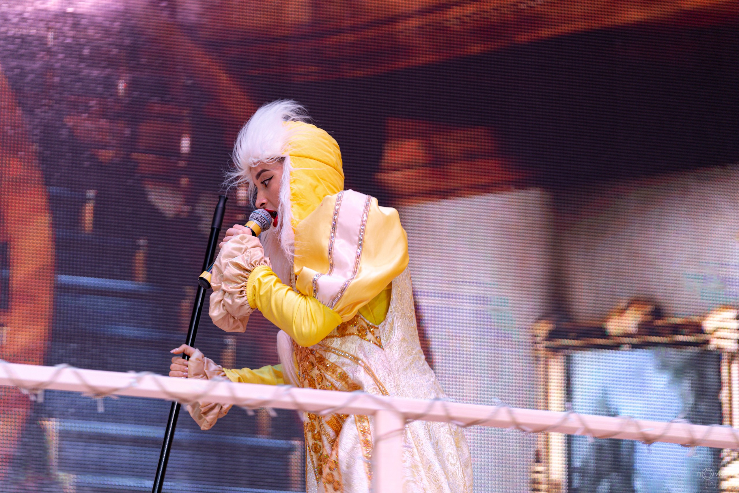 Ёлка. ФОТОГРАФ ИВАН НОВИКОВ | СТАВРОПОЛЬ