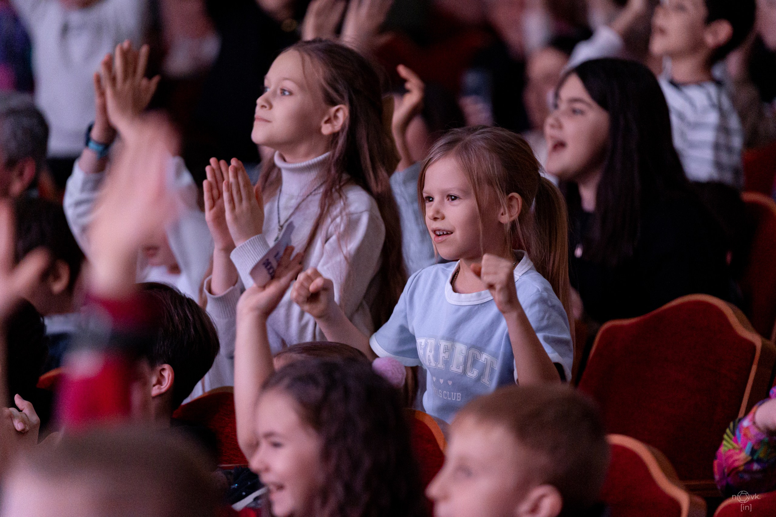 Ёлка. ФОТОГРАФ ИВАН НОВИКОВ | СТАВРОПОЛЬ