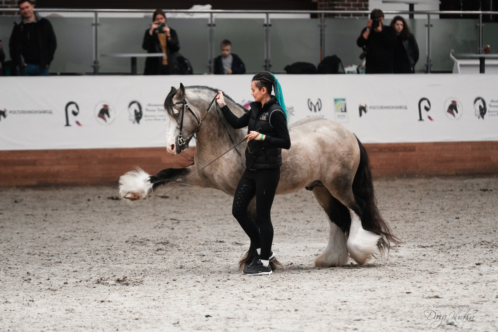 8-я международная выставка Конная Россия. Конный фотограф Куракина Дарья • Фотосессии с лошадьми