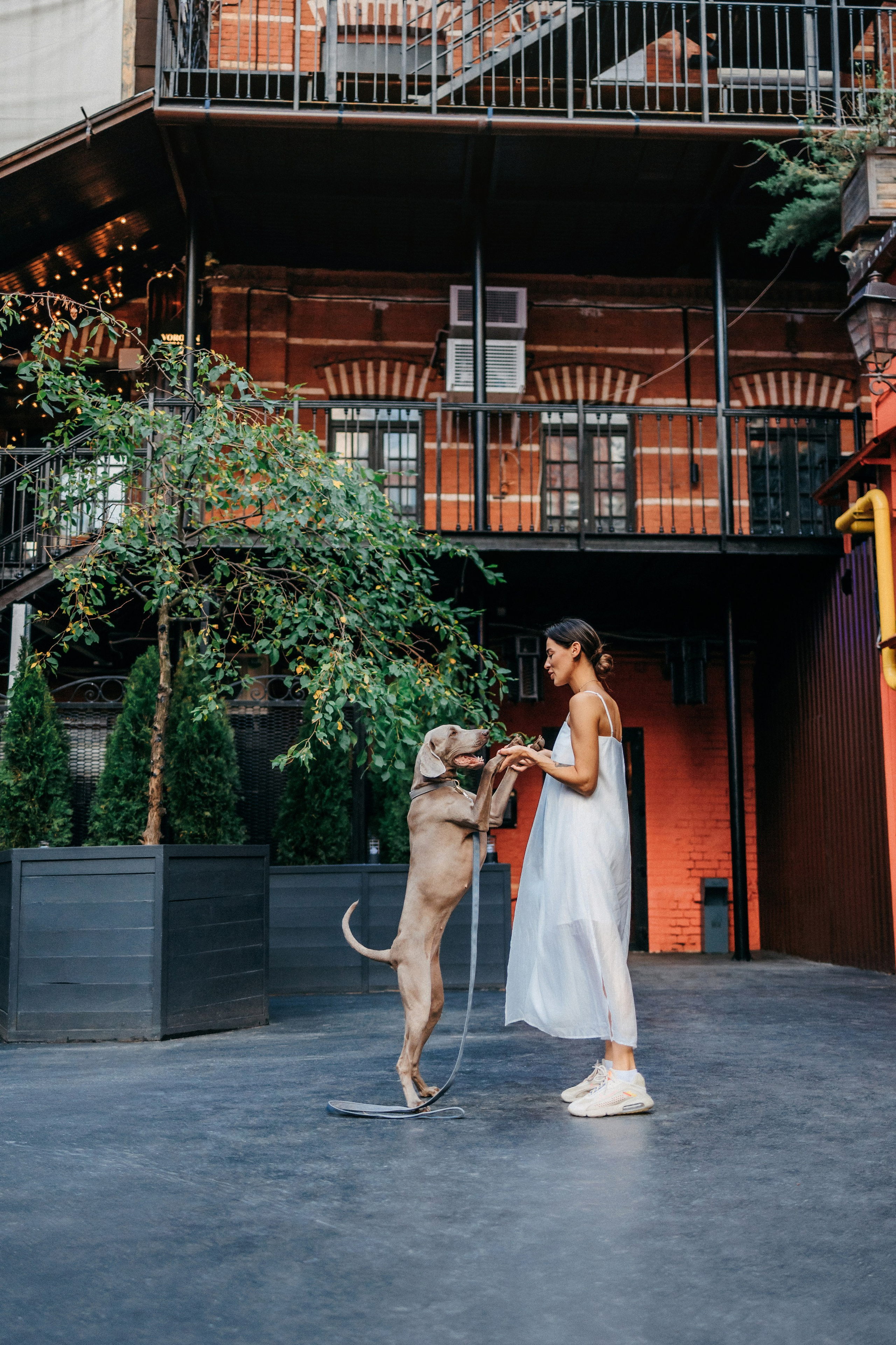 Соня и Майли. Фотограф-анималист Елена Радченко, Москва