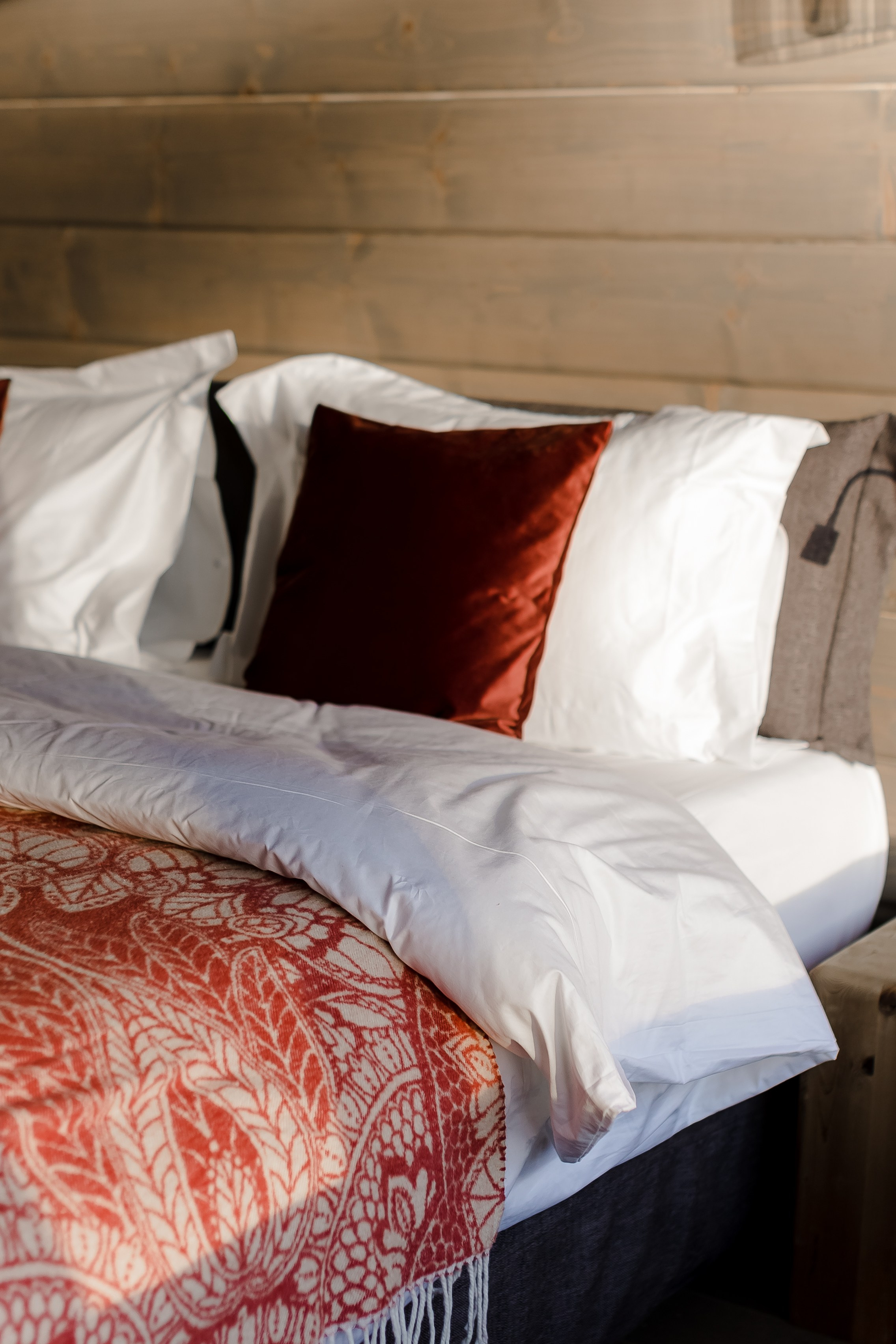 Аврора, Камчатка. Главная