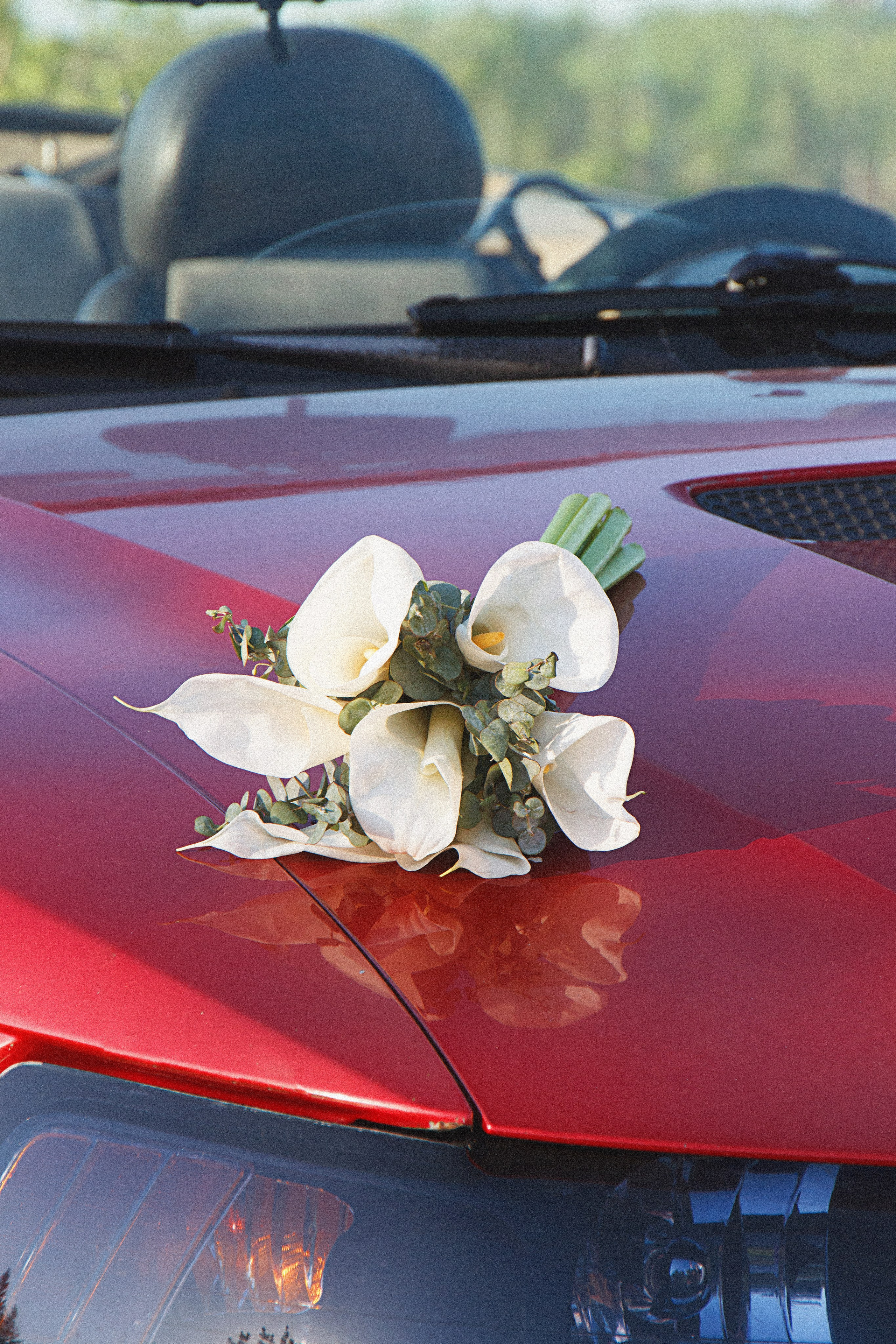 Свадебный воркшоп. Фотограф и видеограф в Омск/Москва Сащенко Лера