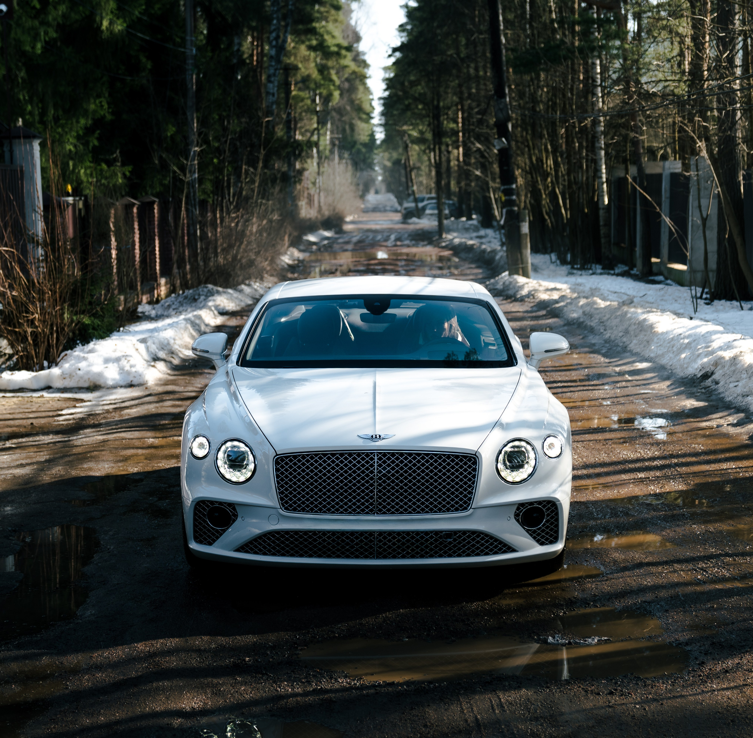 BENTLEY CONTINENTAL. Opasnophoto
