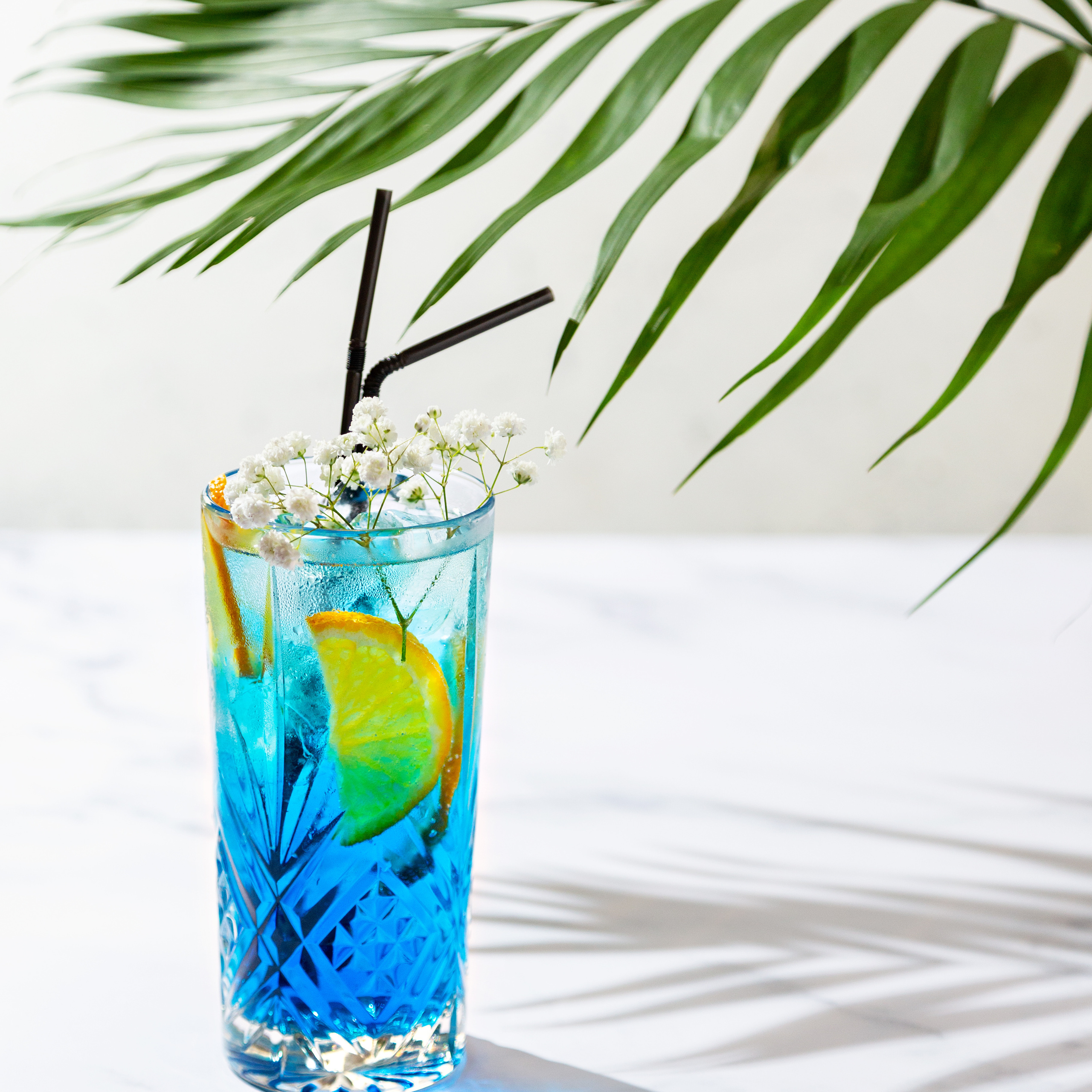 Restaurantes. Food fotografo/Food fotografia