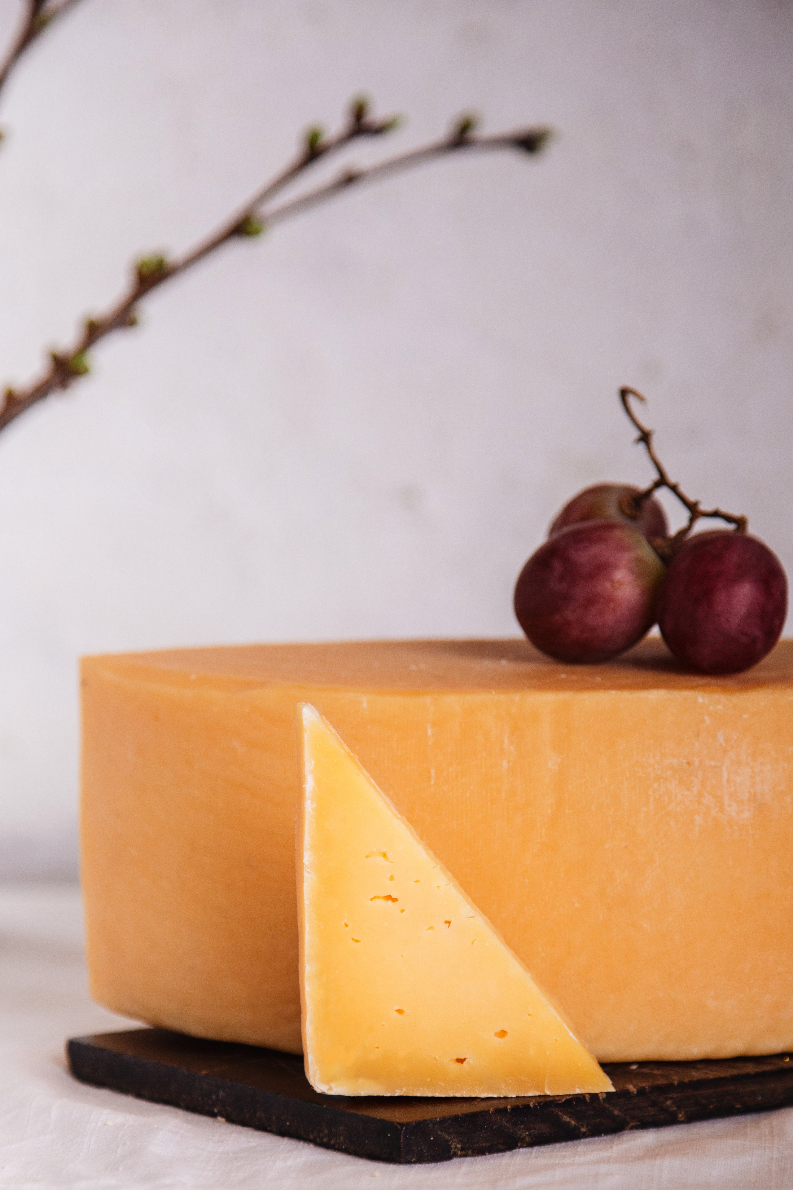 Queso. Food fotografo/Food fotografia