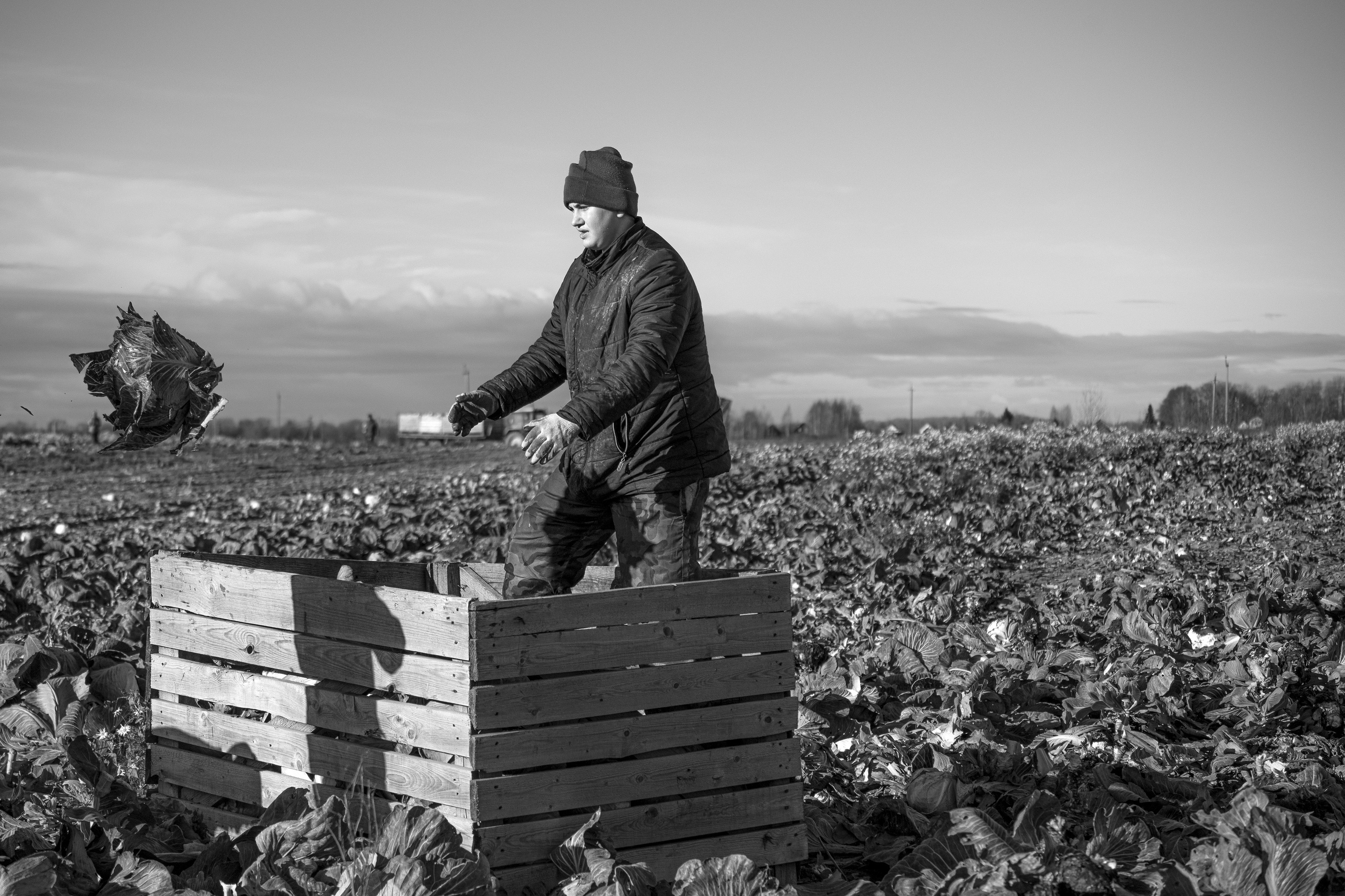 Ч.б. фотографии. Фотографии Лены Соколовой