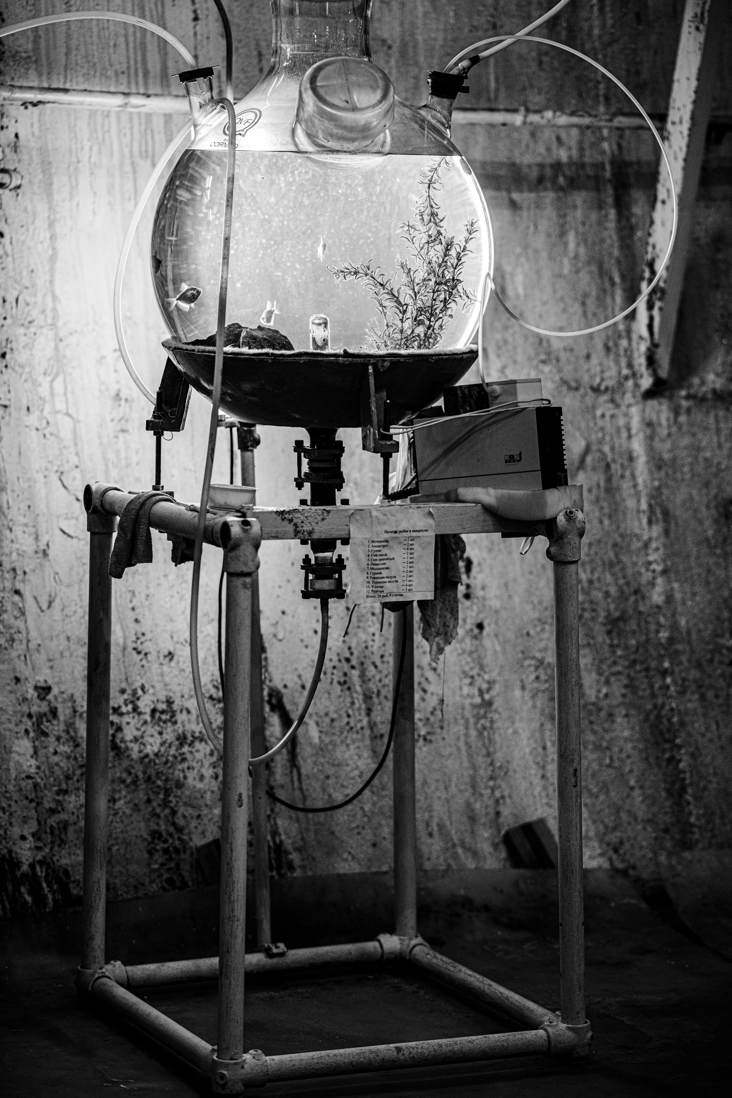 We Are Physicists. Artisistic photographs of Lena Sokolova