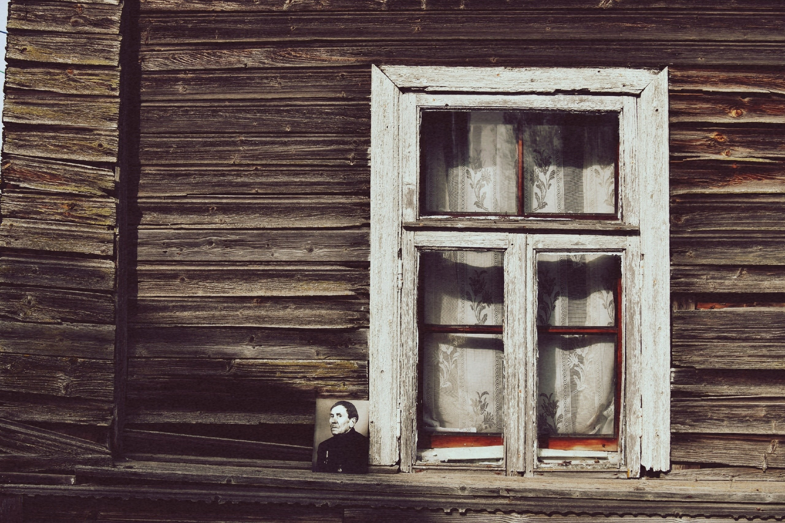 Цветные фотографии. Фотографии Лены Соколовой