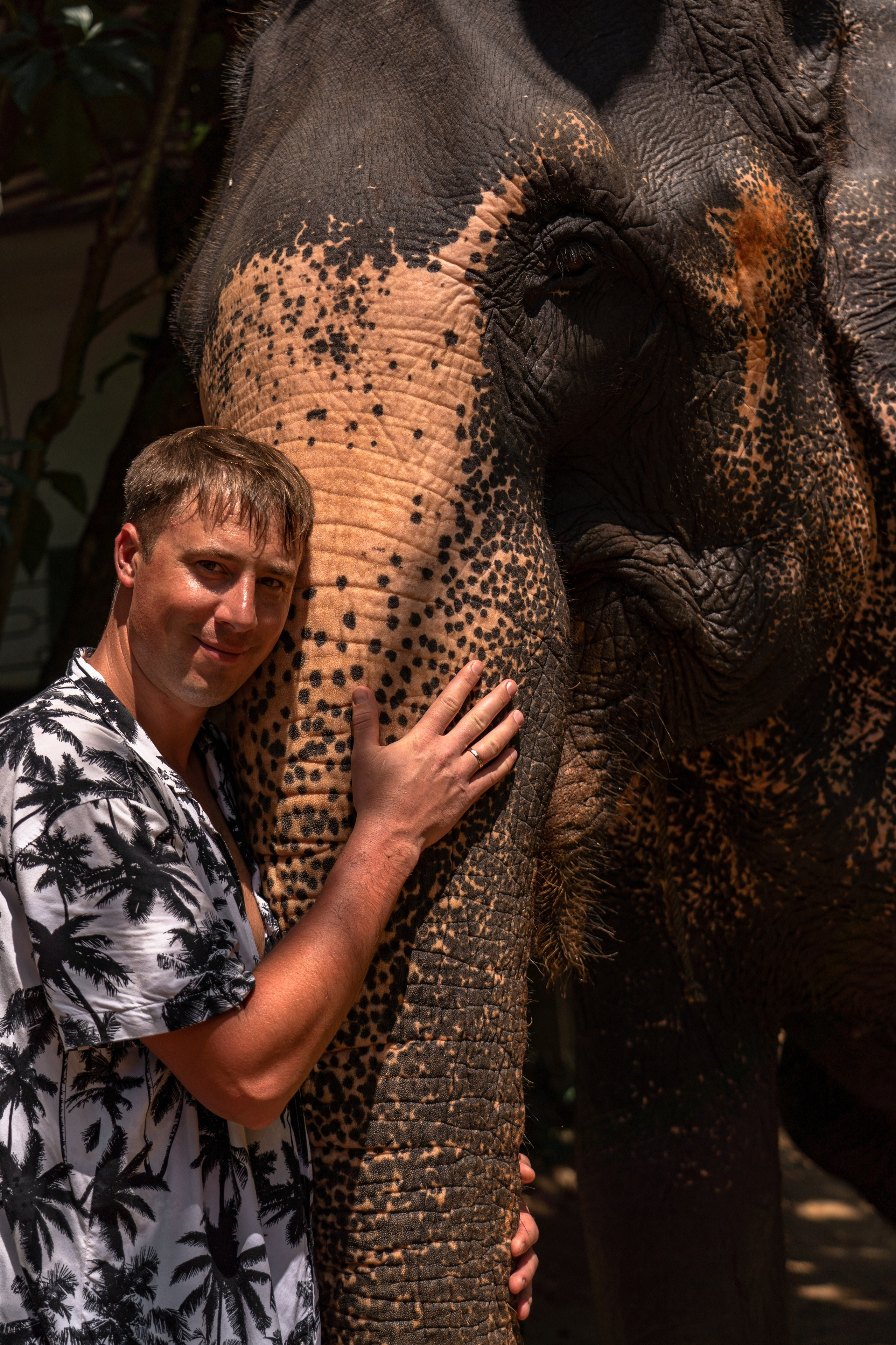 Bathing with elephants in Pinnawala, Botanical Garden