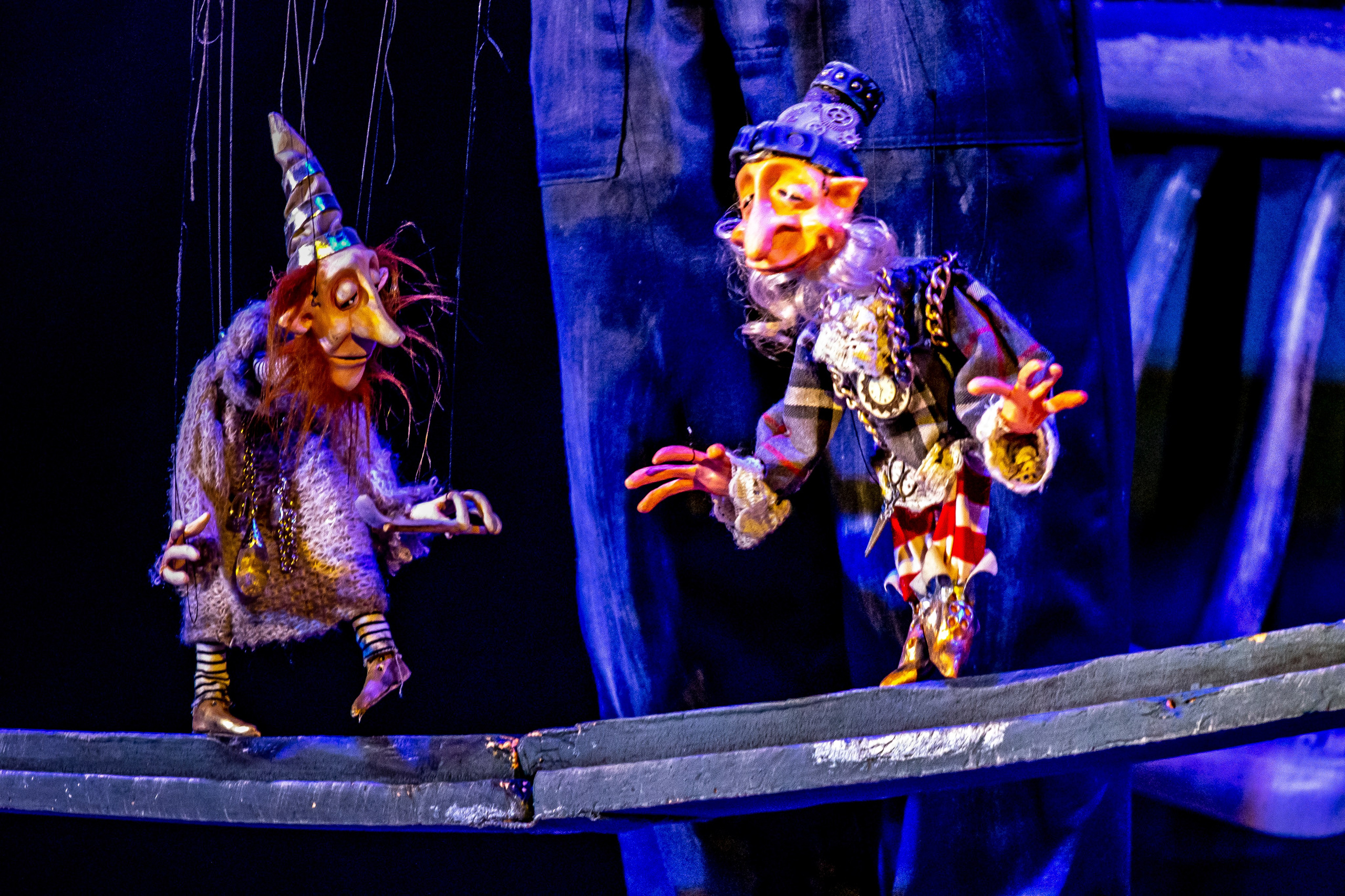 Театрп гномов или настоящие друзья. Фотограф в Сочи Юрий Шептаев