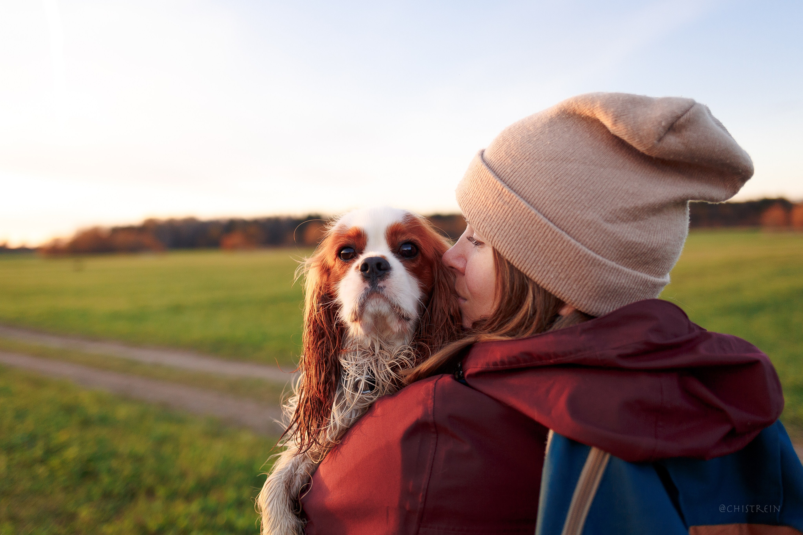 Октябрьский закат в полях. Алина и Лео. Фотограф-анималист Наталия Чистюхина в г. Сосновый Бор и ЛО
