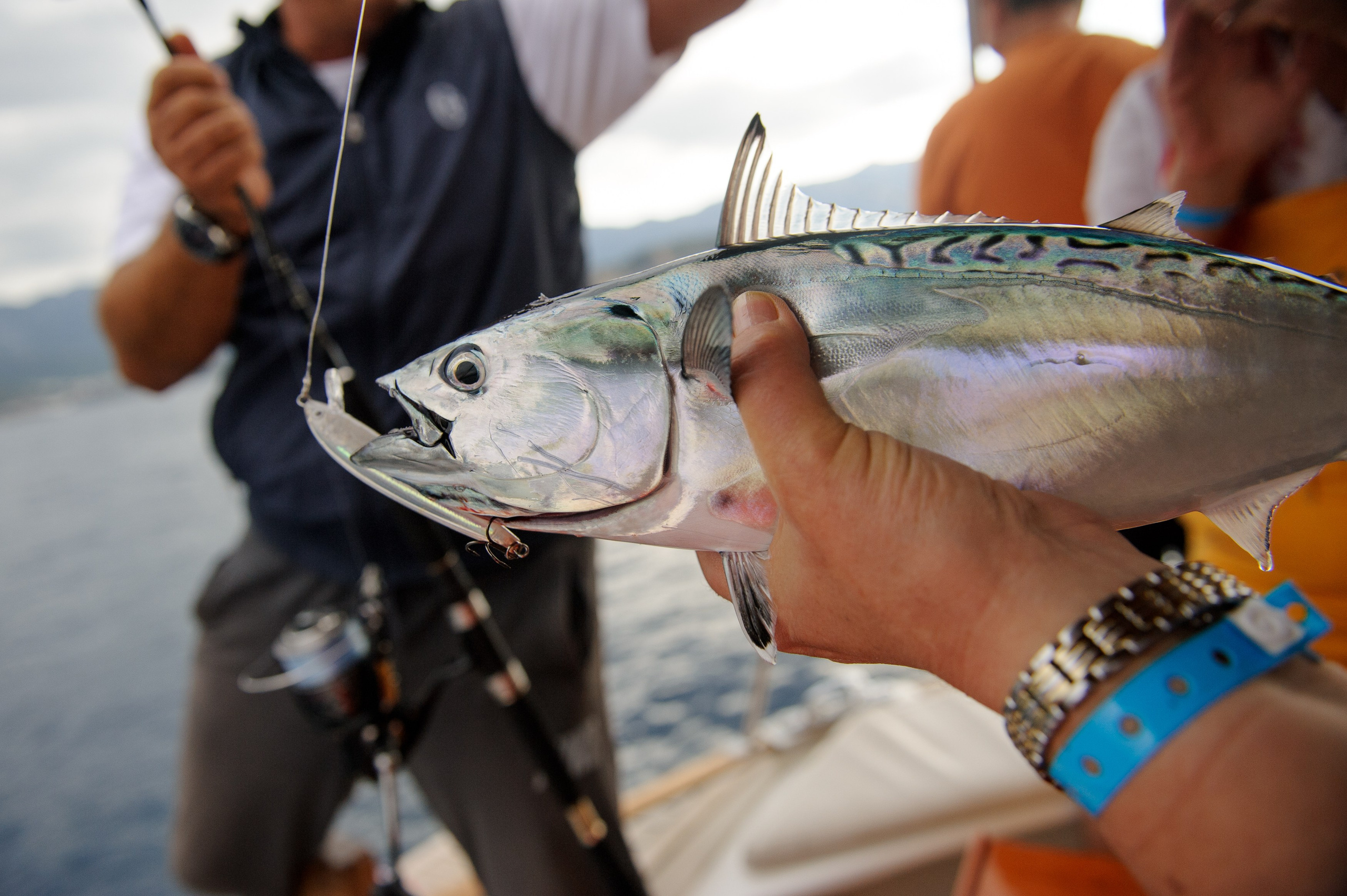 Корпоратив на рыбалке. Фотограф Елена Снегирева. Семейный фотограф в Москве Елена Снегирева