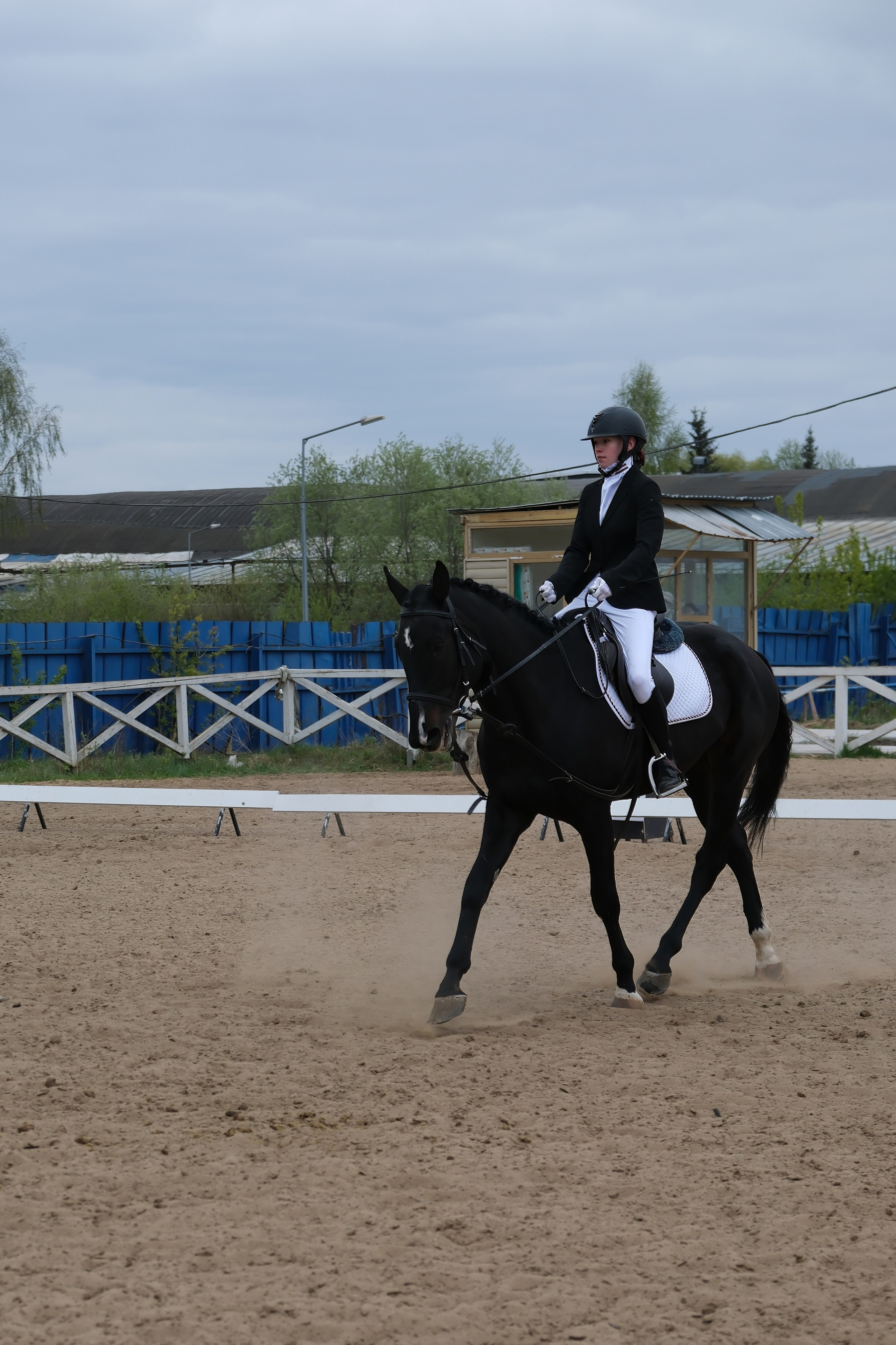 Соревнования по конному спорту в КСК «АЛЛЮР»!. Добро пожаловать в студию «Цифровой скульптор»  где искусство встречается с технологиями!