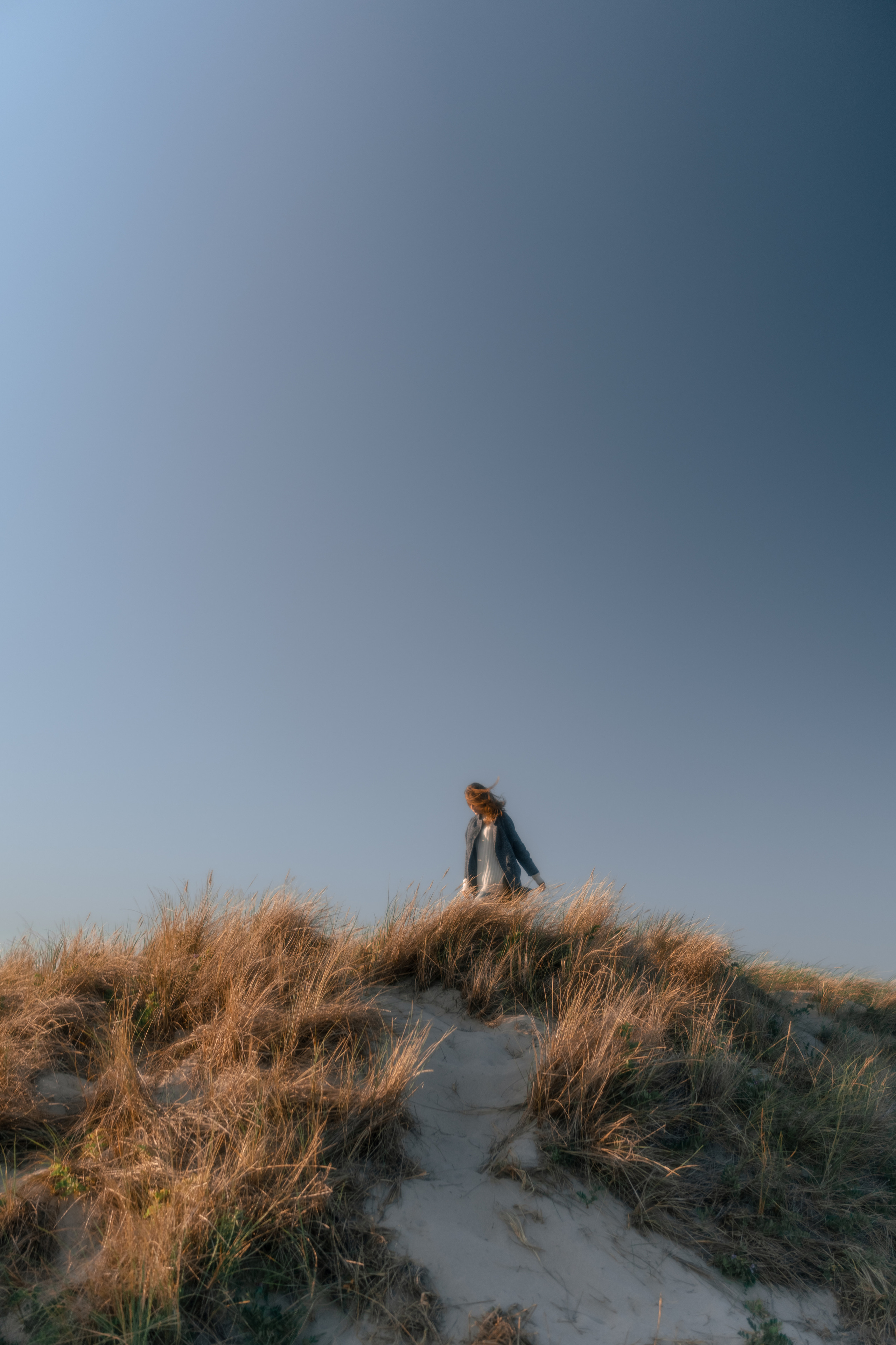 W I N D. Главная