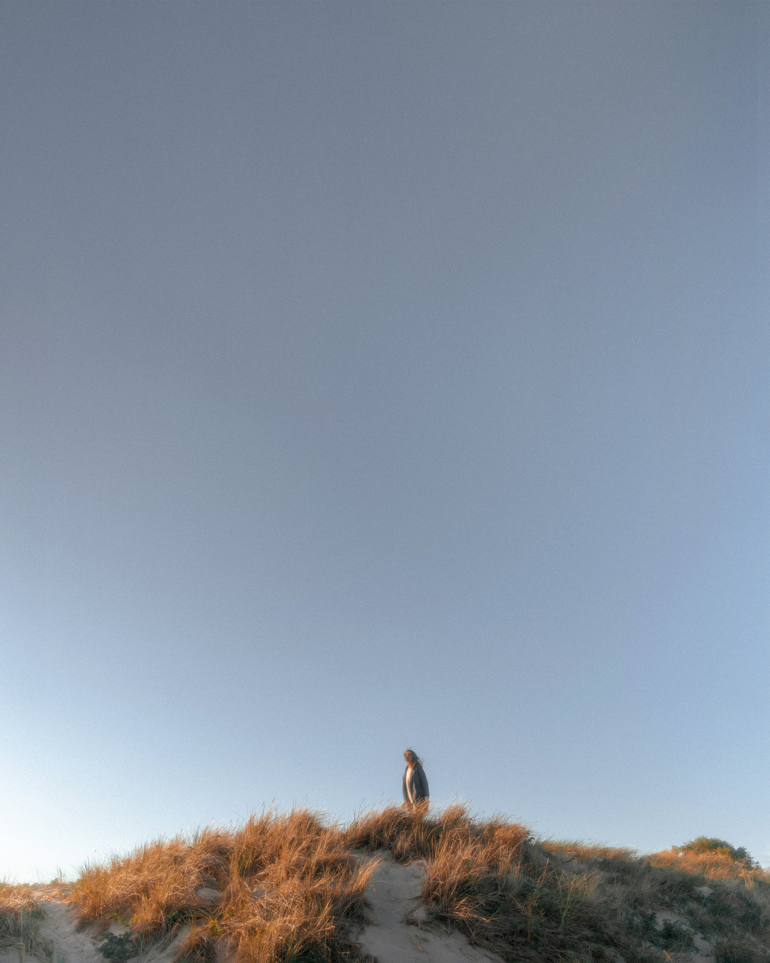 W I N D. Главная