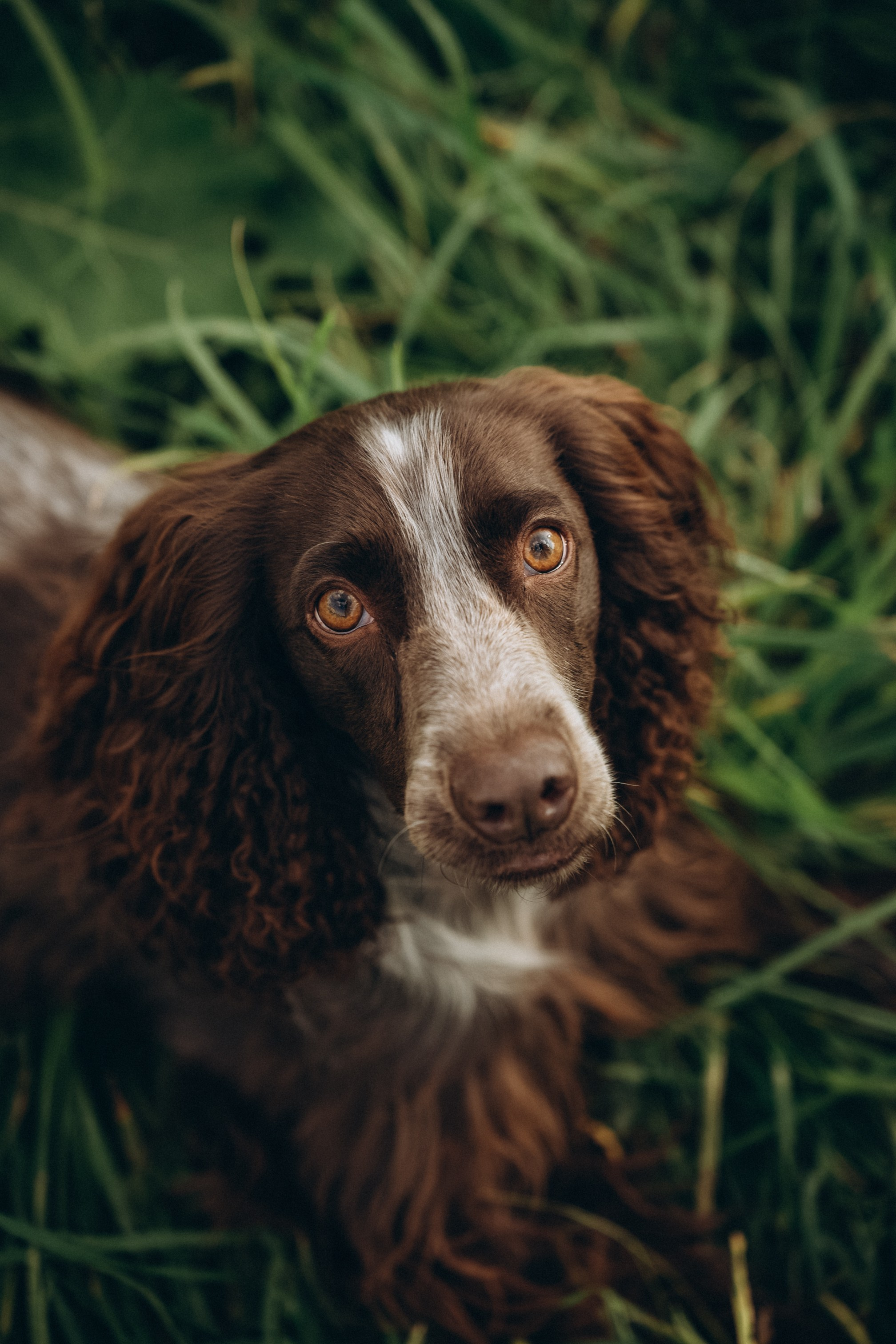 Семейная история. Семейный свадебный фотограф Екатеринбург Первоуральск Шарнина Алёна