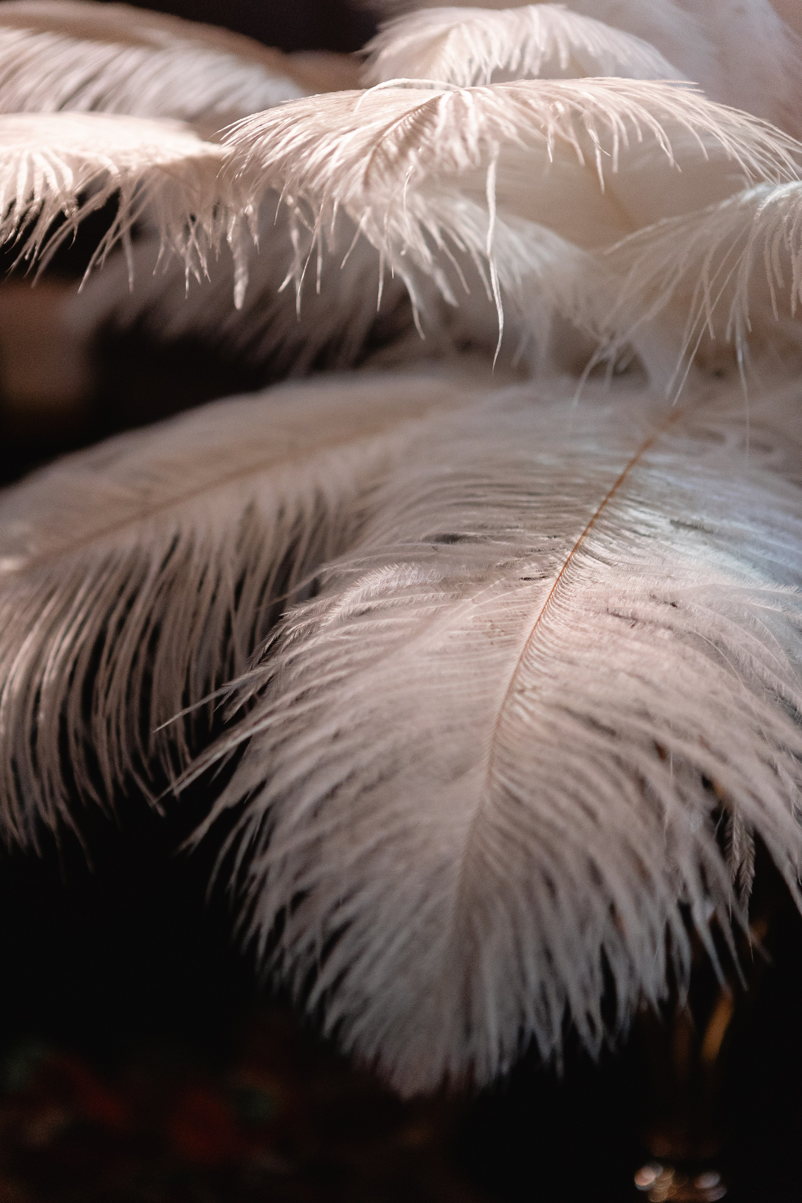 Harry Potter birthday. Свадебный и портретный фотограф Казань/Москва/СПБ Елькина Юлия