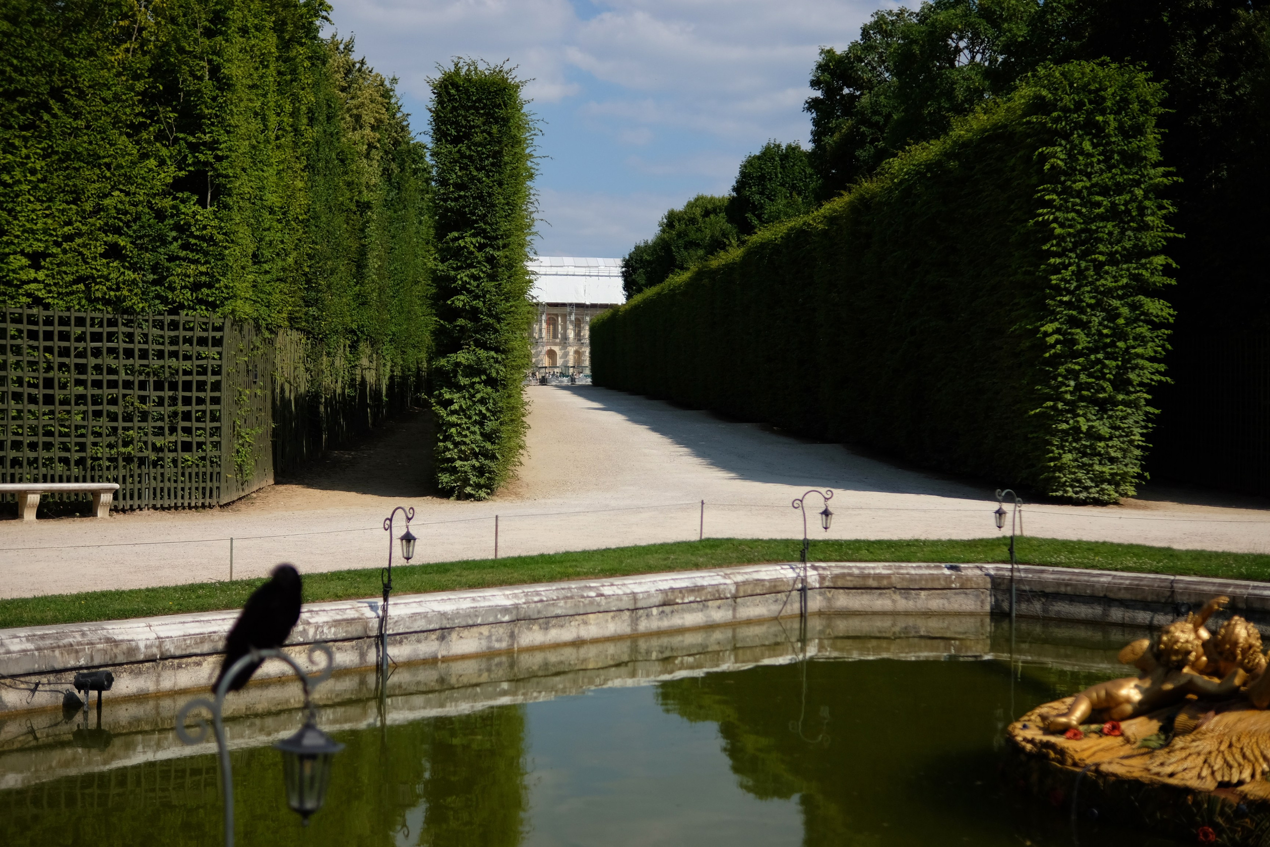 Street/ France/ 2025. Анна Федо Фото