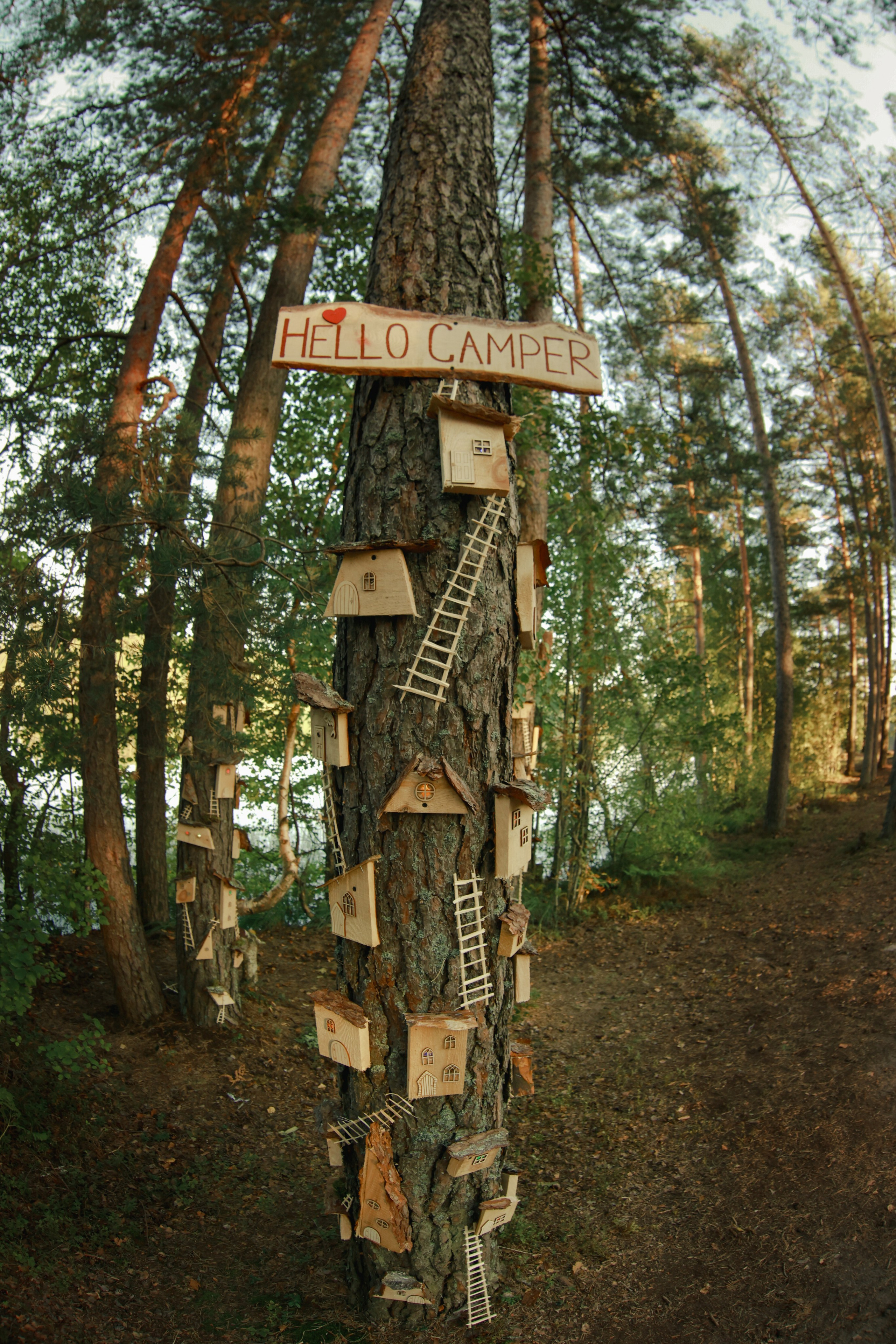 Фестиваль Hello Camper закрытие 2024. Репортажный и портретный фотограф в Санктпетербурге. Видиосъемка мероприятий в Санкт-Петербурге