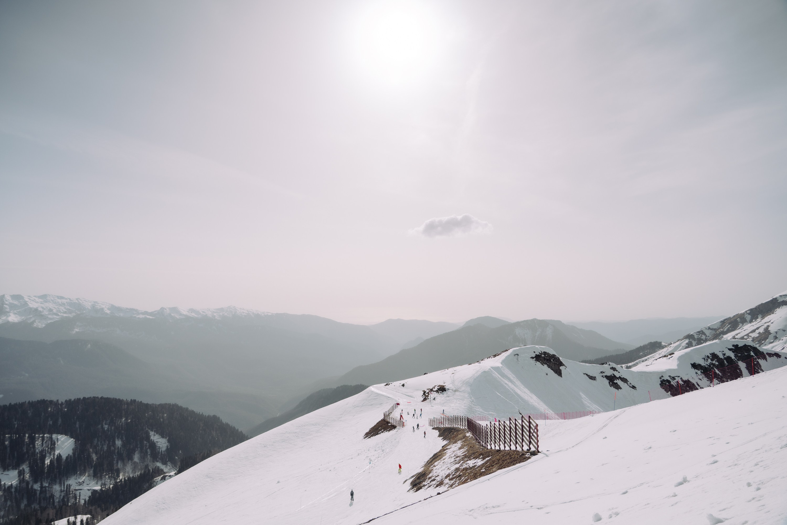 Yandex 360 & NewStarCamp