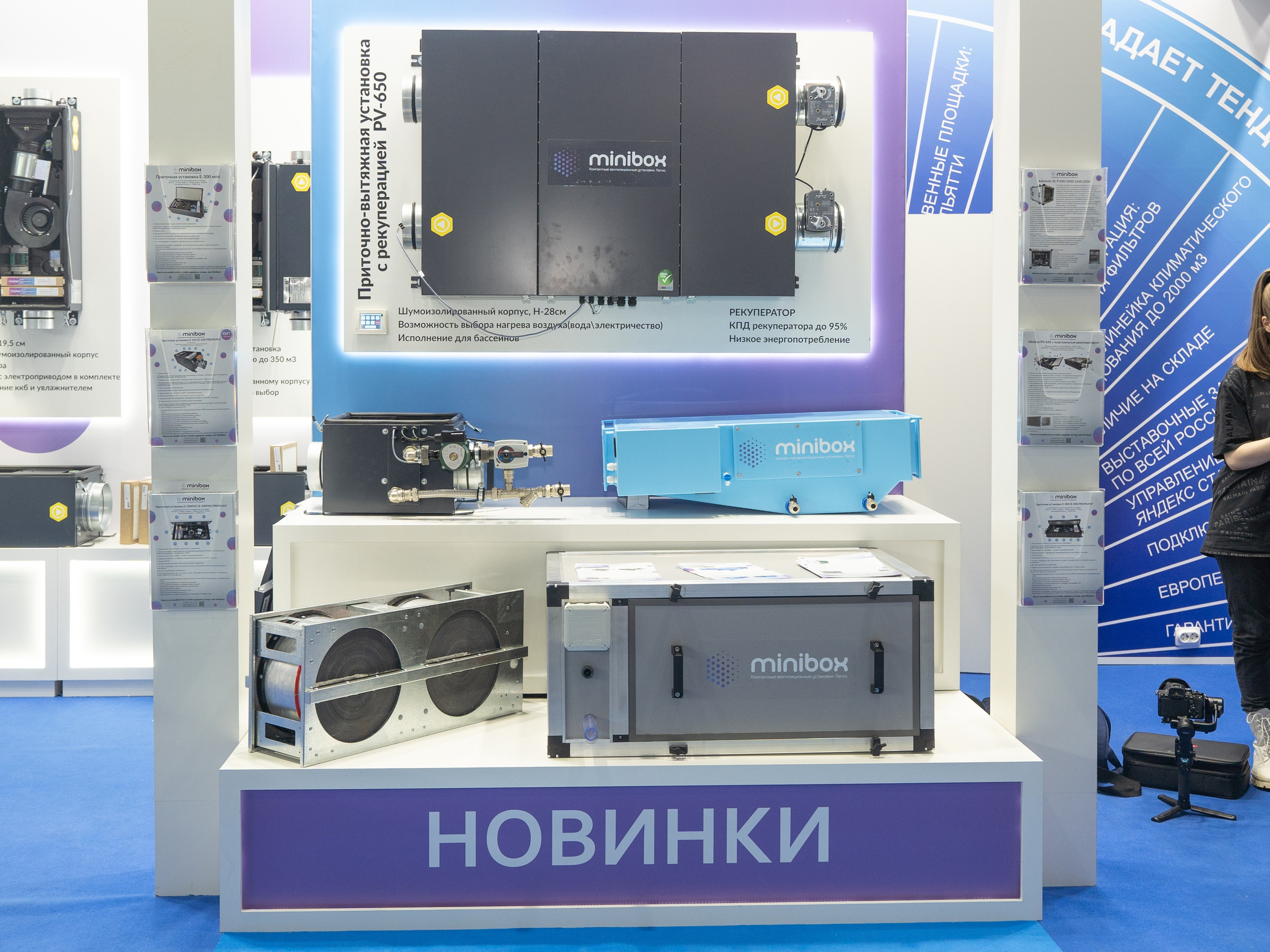 Крокус Вентиляция. Фотограф Зинаида Евдокимова