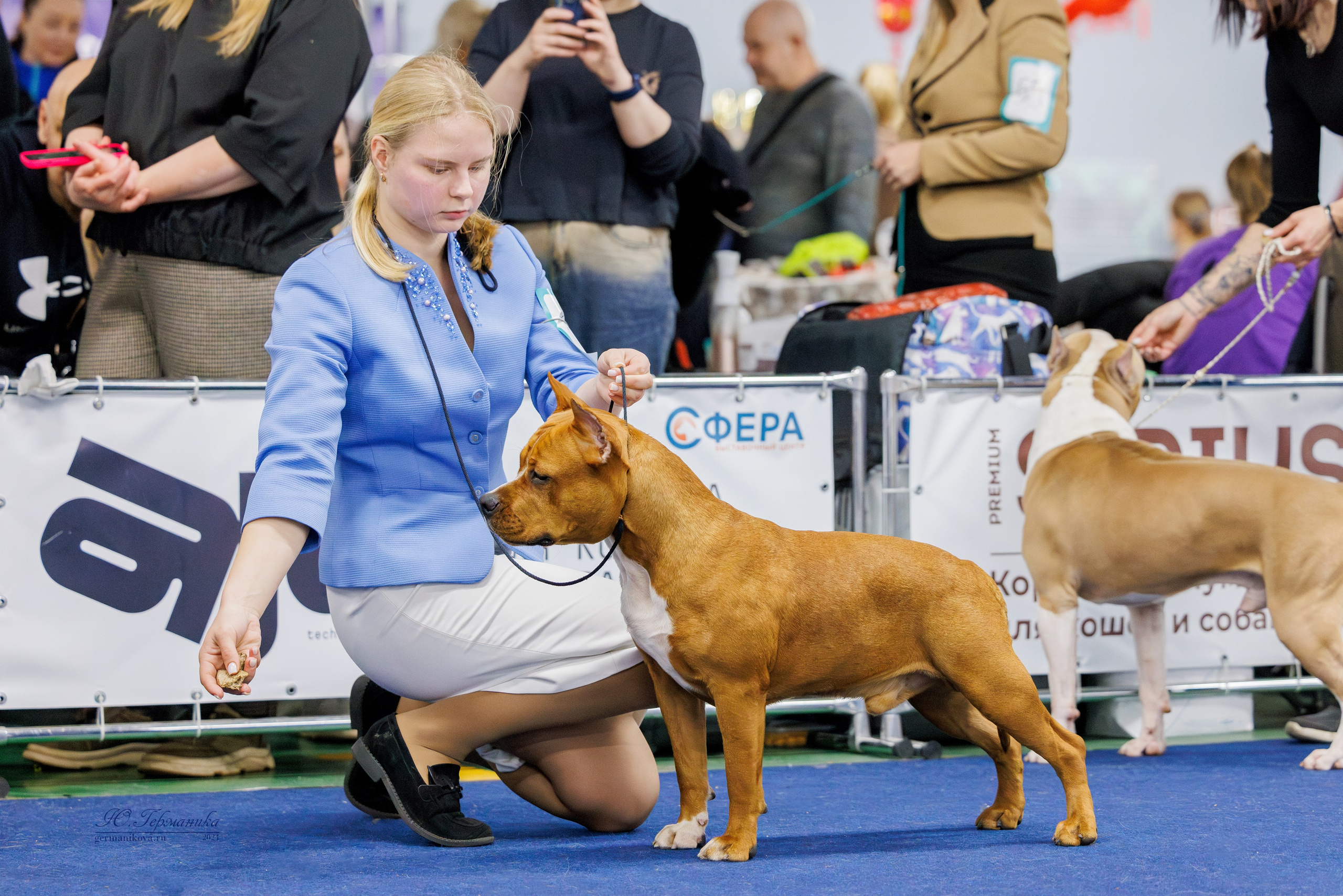 Крокус 21.12.2024,Сфера 29.12.2024. Фотограф-анималист Юлия Германика