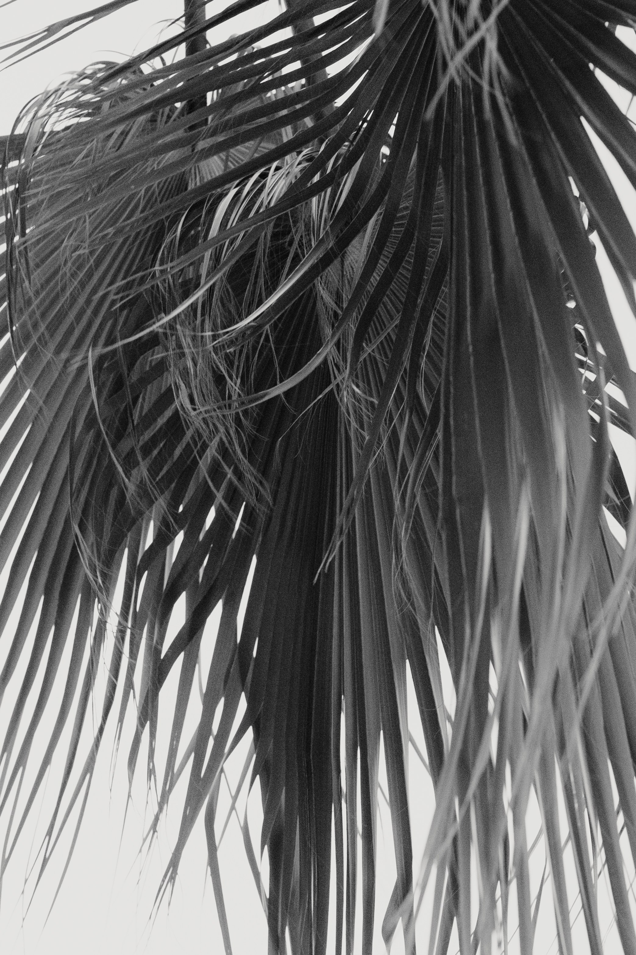 Once in October. Wedding & Documentary Photographer based in Nuremberg — available across Europe & Turkey | Vitalii Nasonov