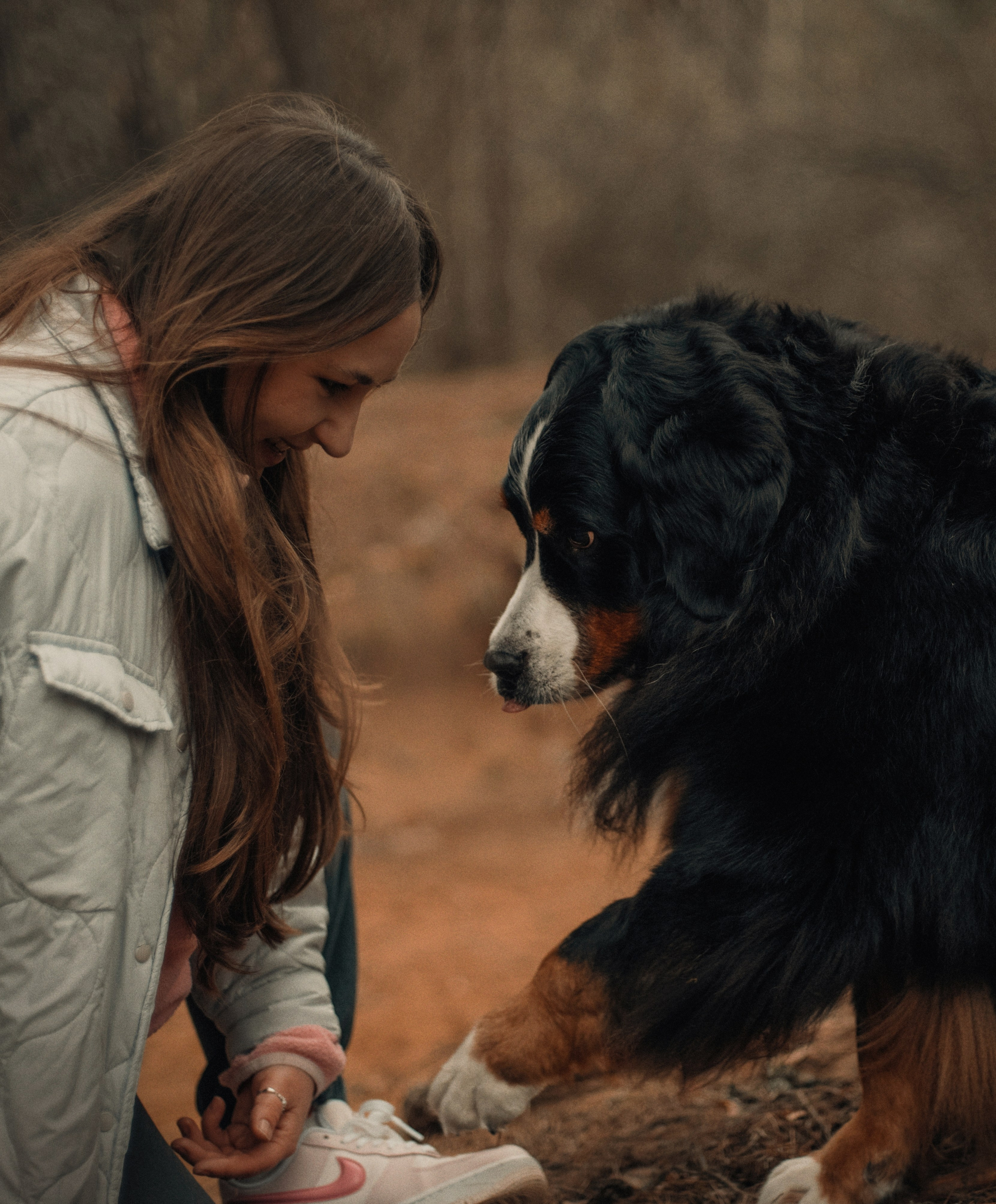 Прогулка: берн Пума, Фрэнк и Юля в Питере. Портфолио