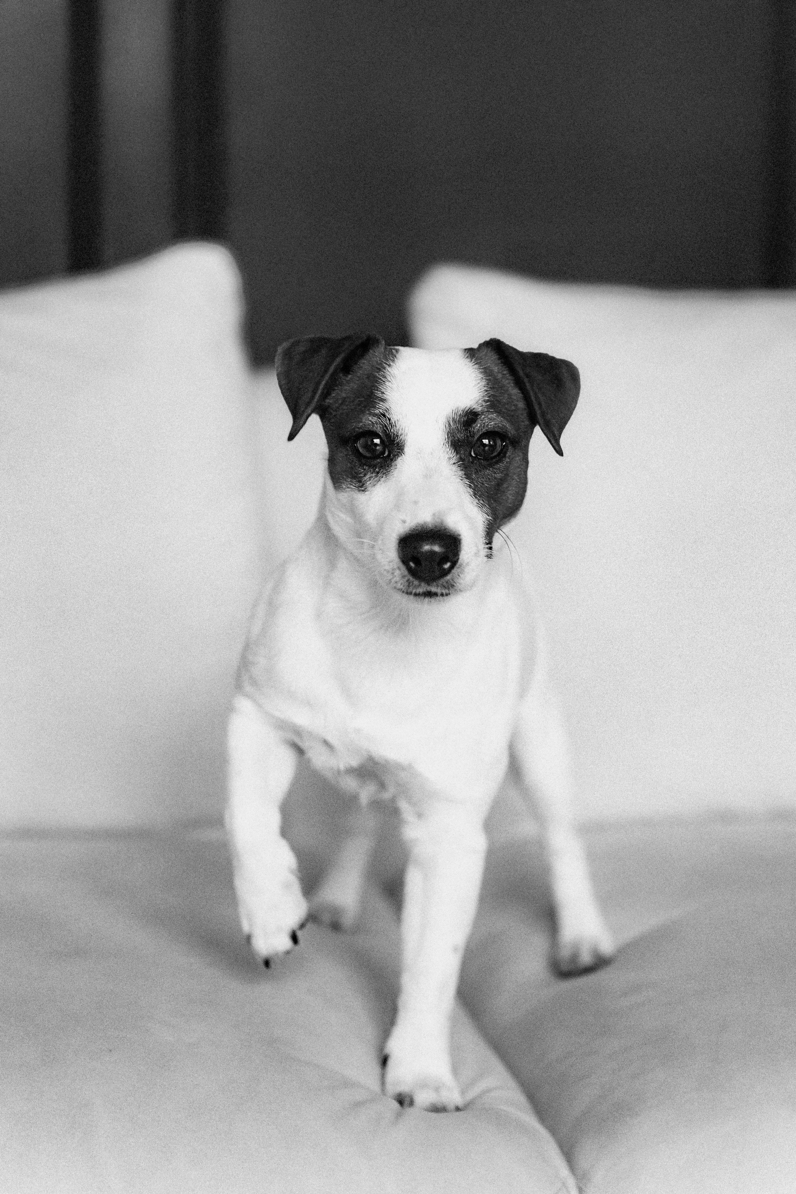 2024.03.24 Танюша, Руслан и Боба. Ирина Бешляга. Фотограф в Москве и по всей России