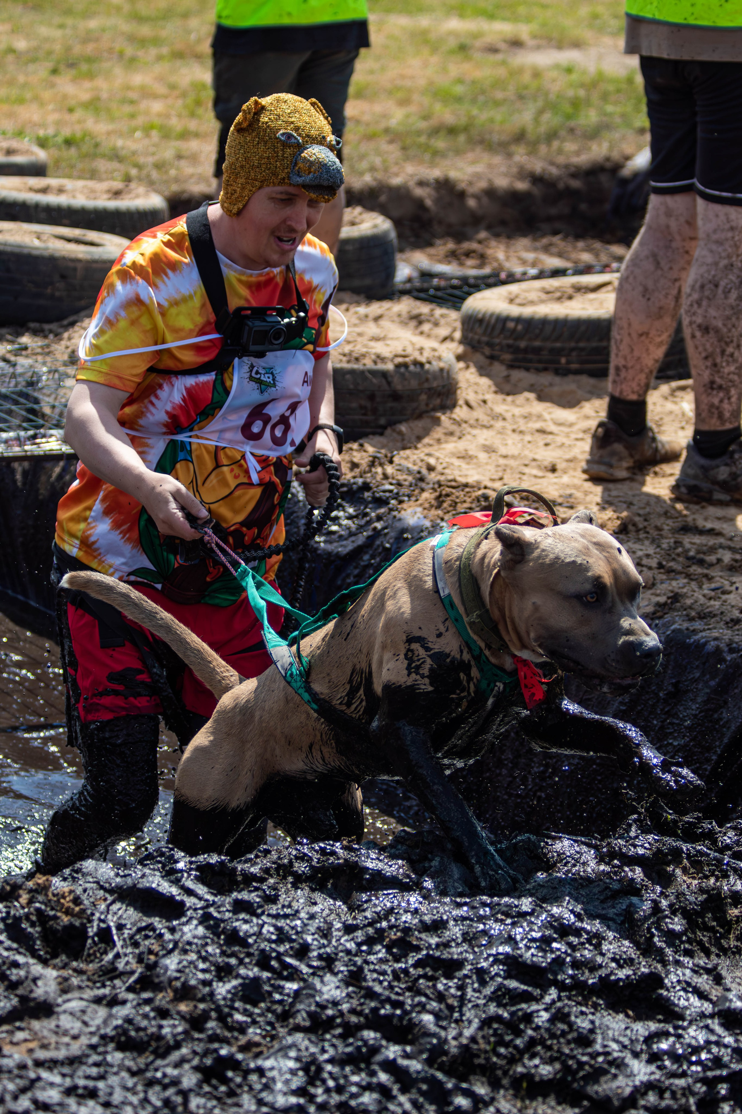 Хвостатый Драйв 2024. Фотограф анималист — Тула, Москва