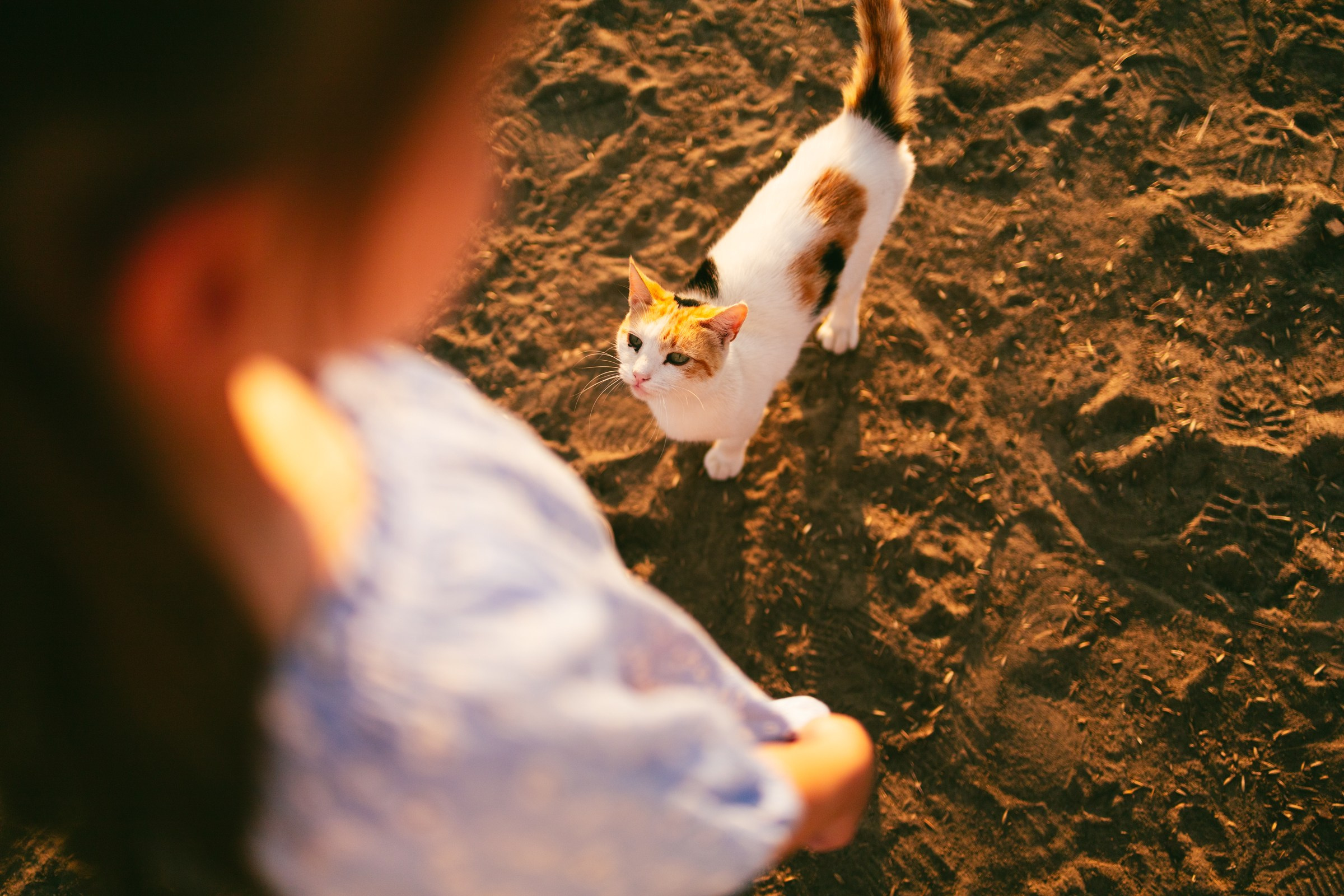Юля и Алиса. Семейный фотограф в Волгодонске Краченцева Анна