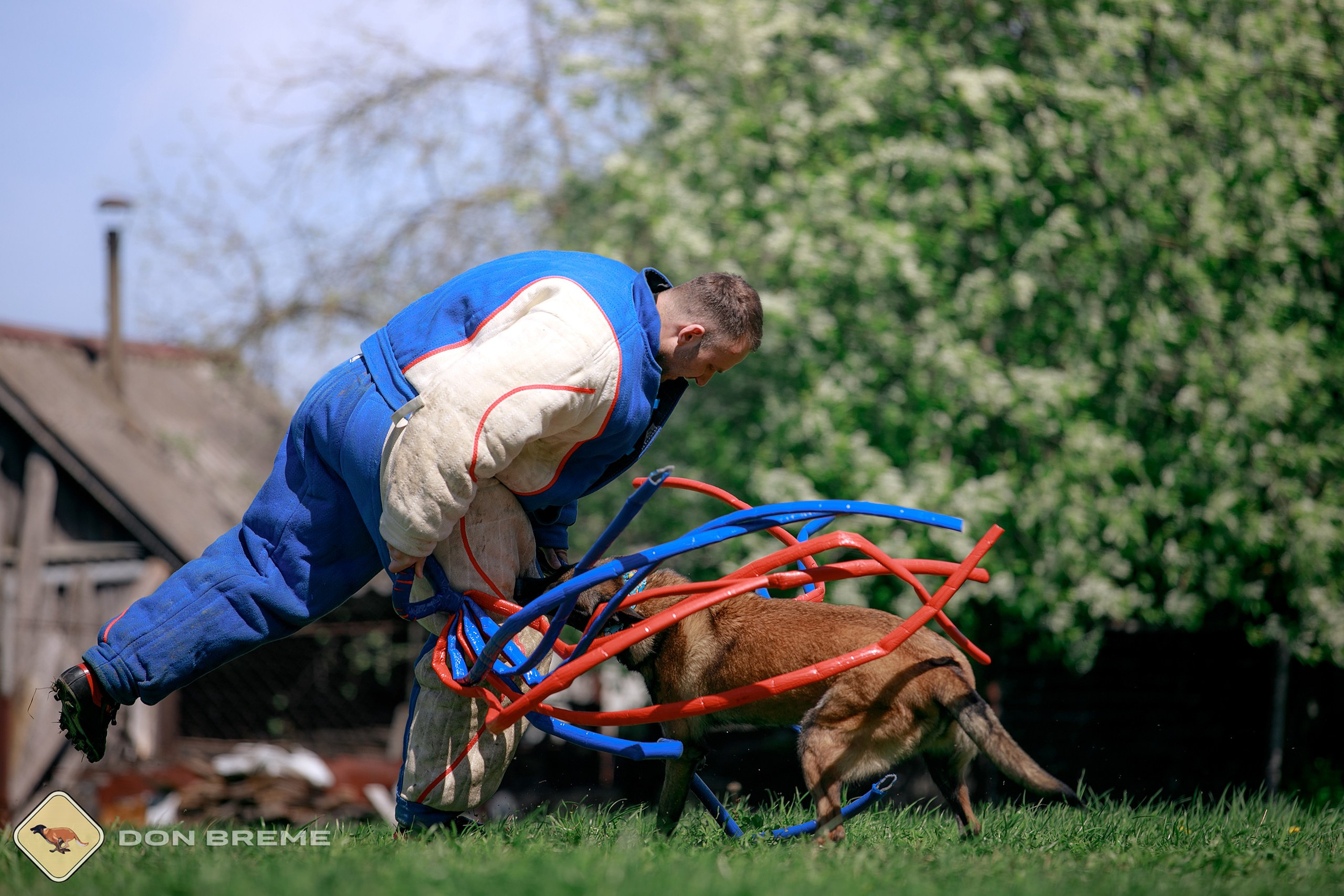 Семинар для фигурантов, день 4. Фотограф-анималист Mary Mart — Москва, Питер